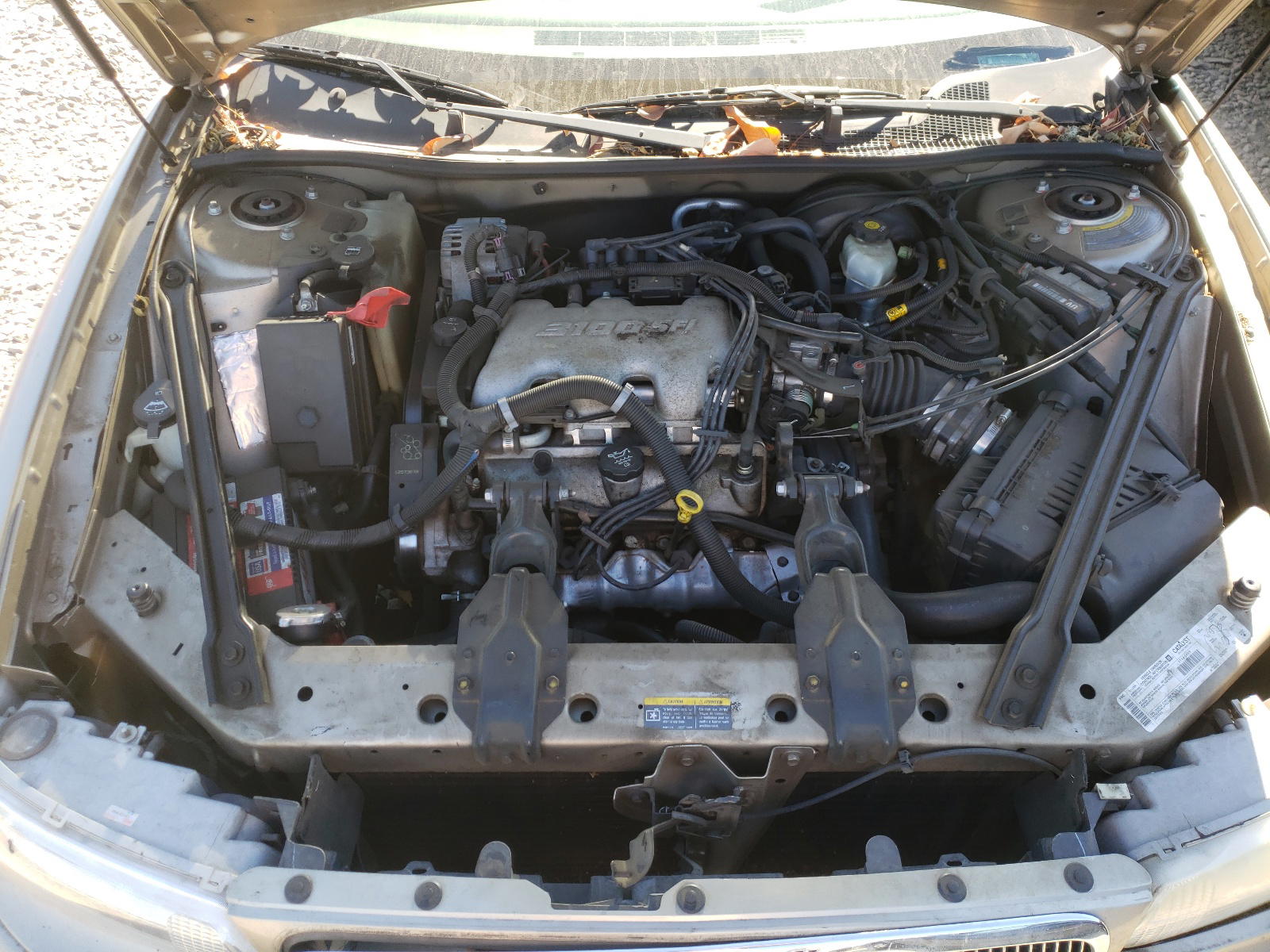 Photo 7 from auction – 2003 BUICK CENTURY CU with VIN 2G4WS52J331103375