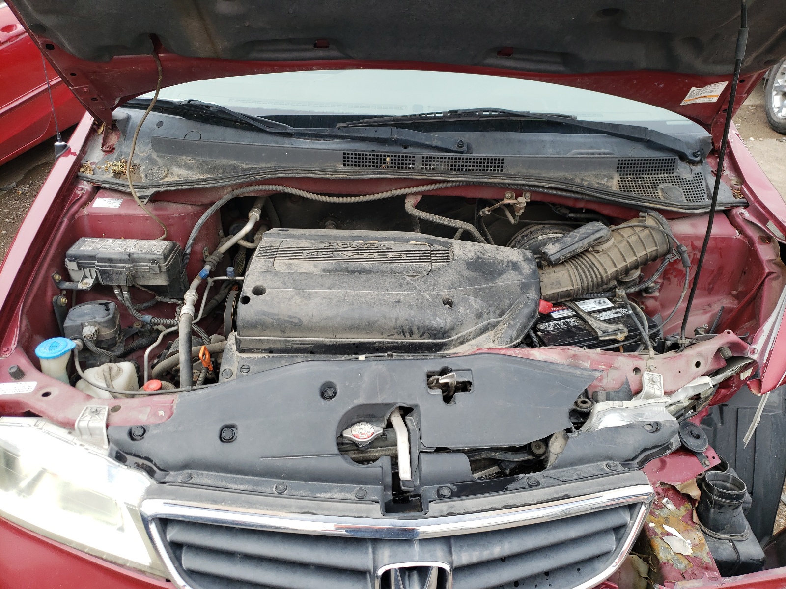 Photo 7 from auction – 2004 HONDA ODYSSEY EX with VIN 5FNRL18624B131838