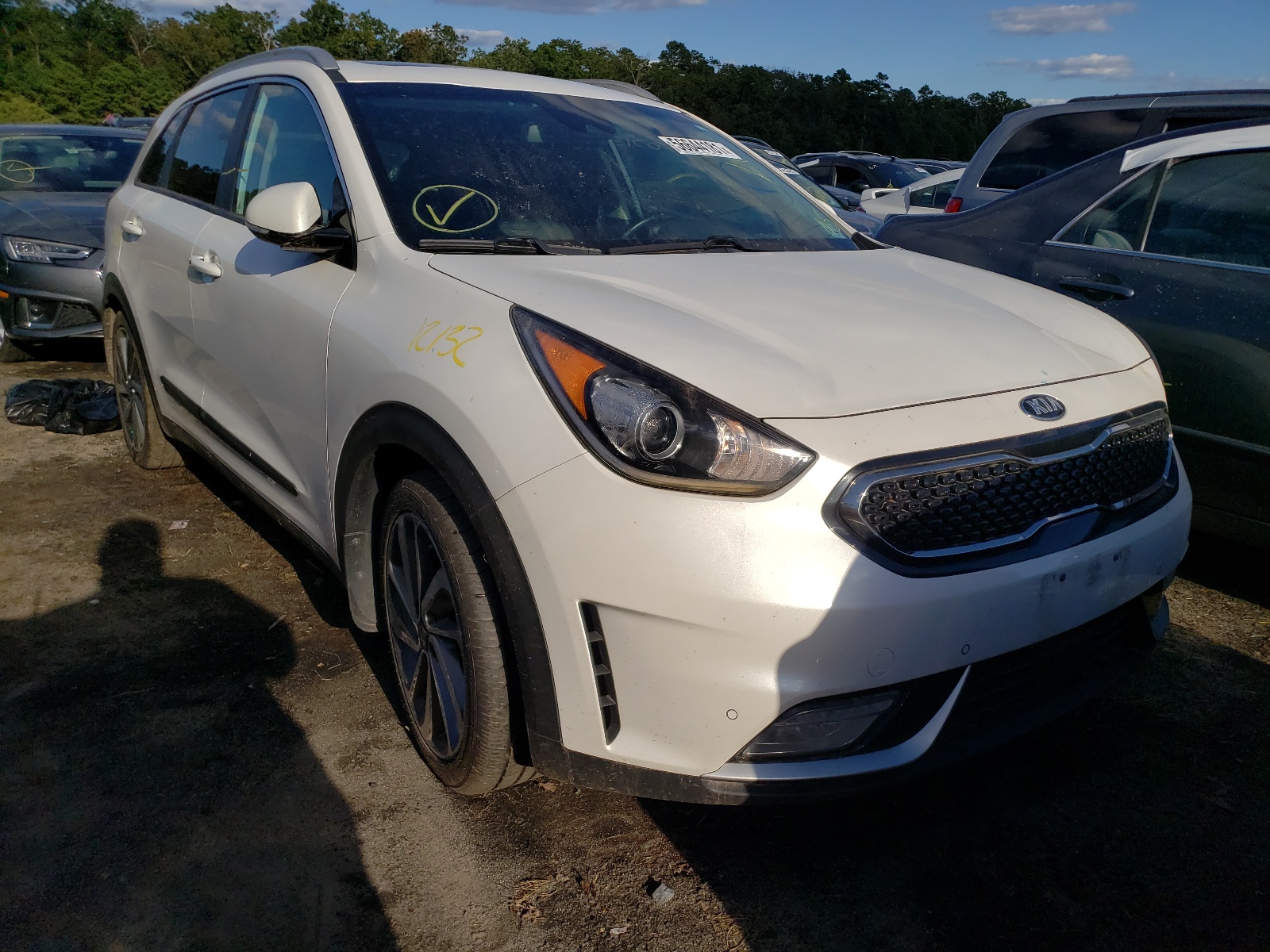 KIA NIRO EX TO 2017 with VIN KNDCE3LC1H5049891 - Photo from auction