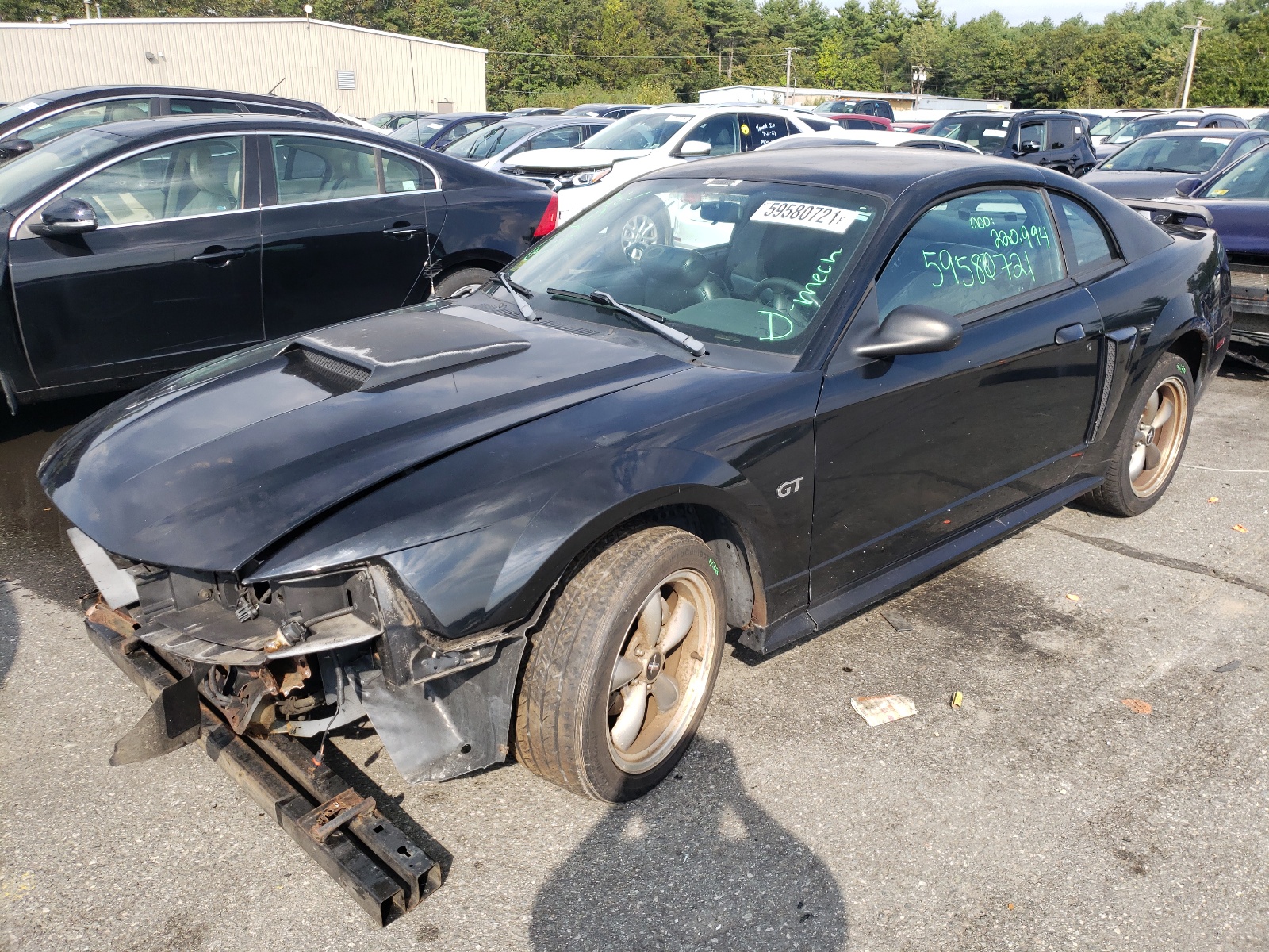 Photo 2 from auction – 2003 FORD MUSTANG GT with VIN 1FAFP42X33F347935