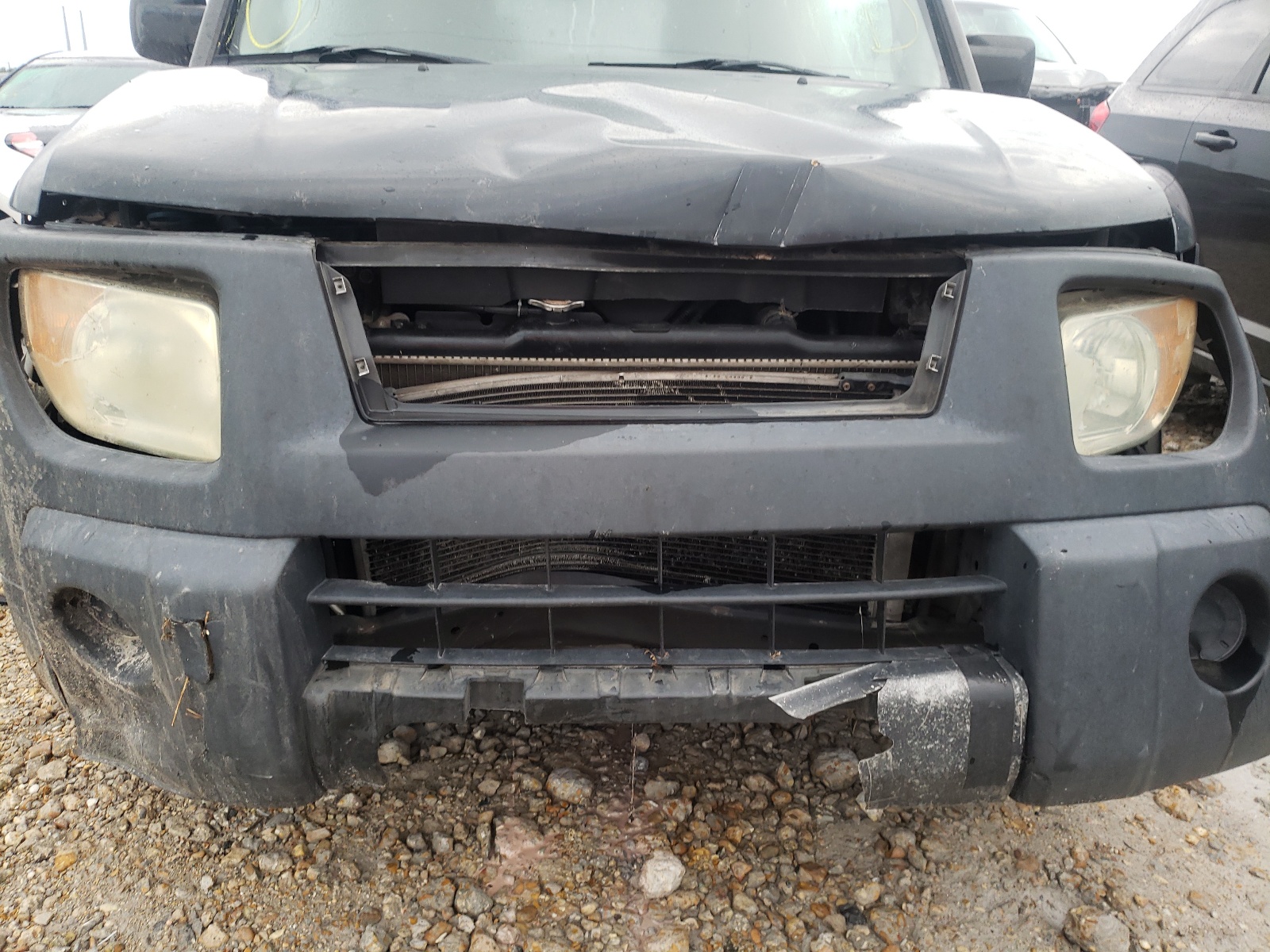 Photo 9 from auction – 2006 HONDA ELEMENT EX with VIN 5J6YH18616L016008