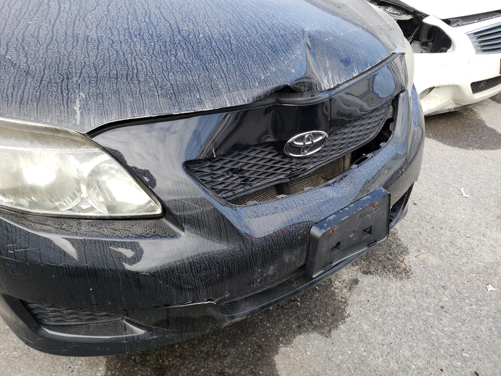 Photo 9 from auction – 2010 TOYOTA COROLLA BA with VIN 2T1BU4EE2AC308173