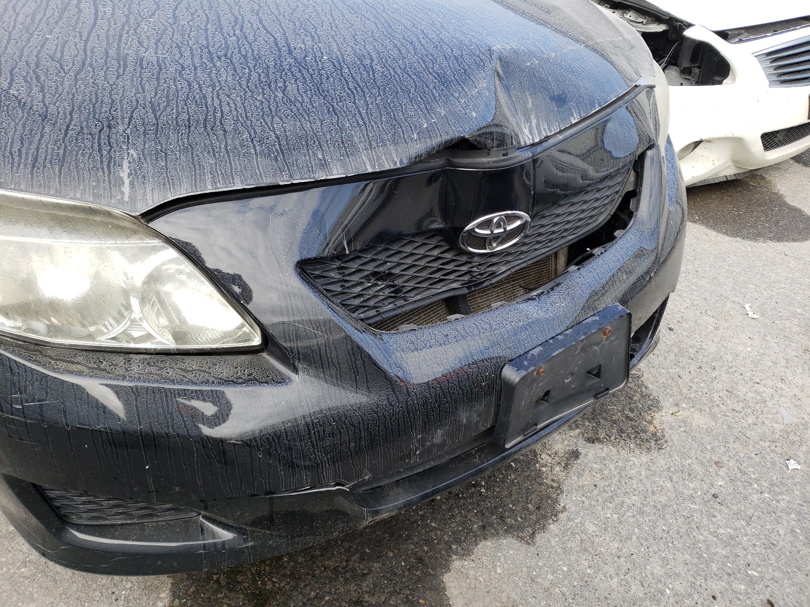 Фото 9 с аукциона – 2010 TOYOTA COROLLA BA с VIN 2T1BU4EE2AC308173