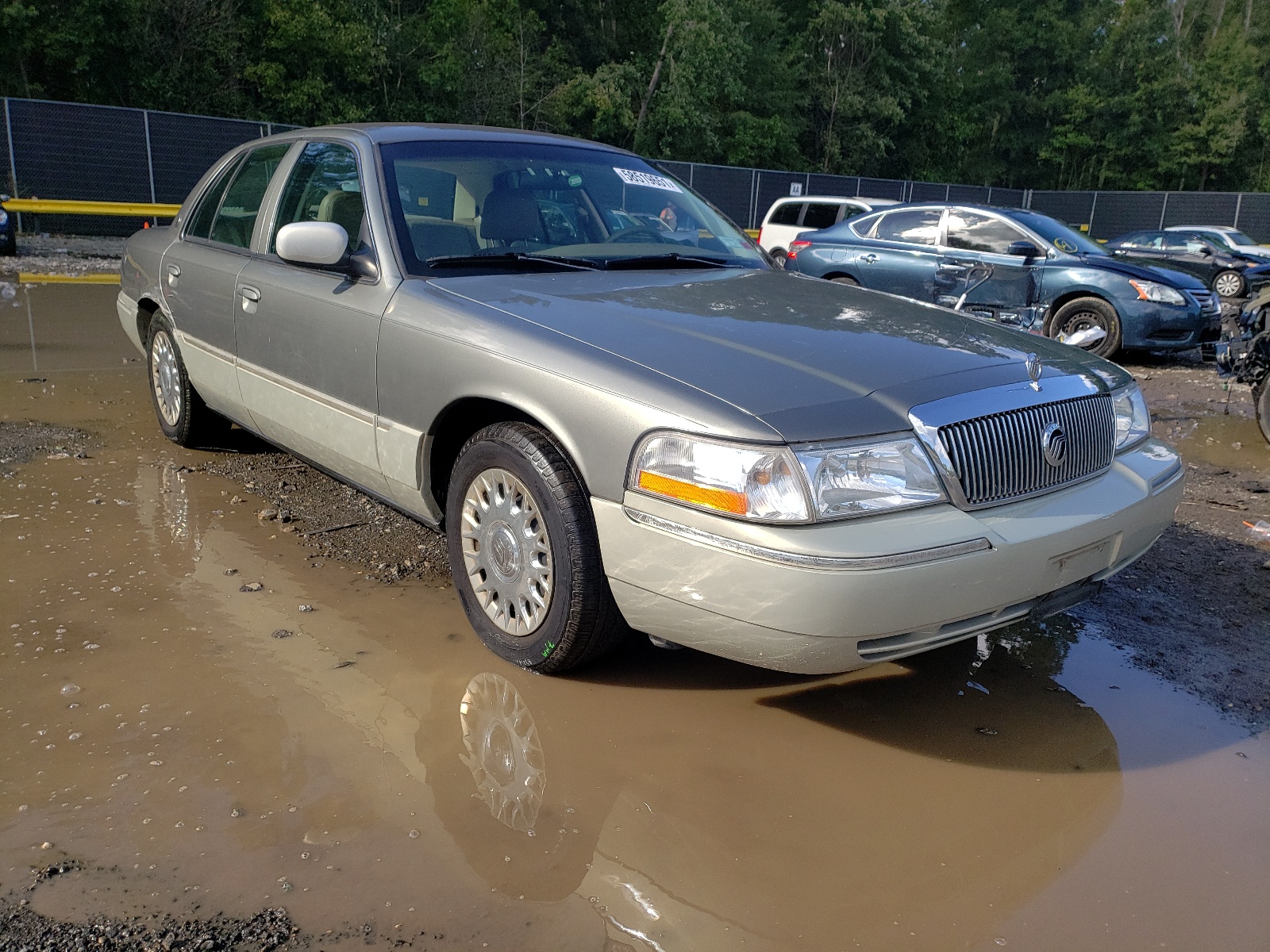MERCURY GRAND MARQ 2004 with VIN 2MEFM74W14X654016 - Photo from auction