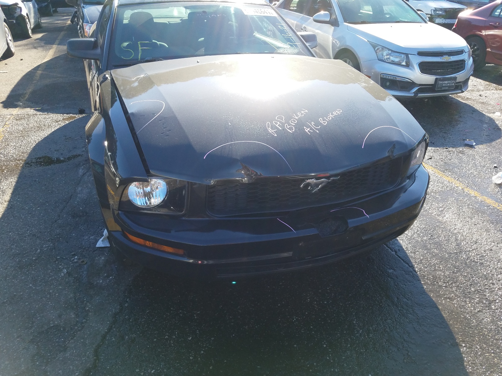 Photo 9 from auction – 2007 FORD MUSTANG with VIN 1ZVFT80N575266393