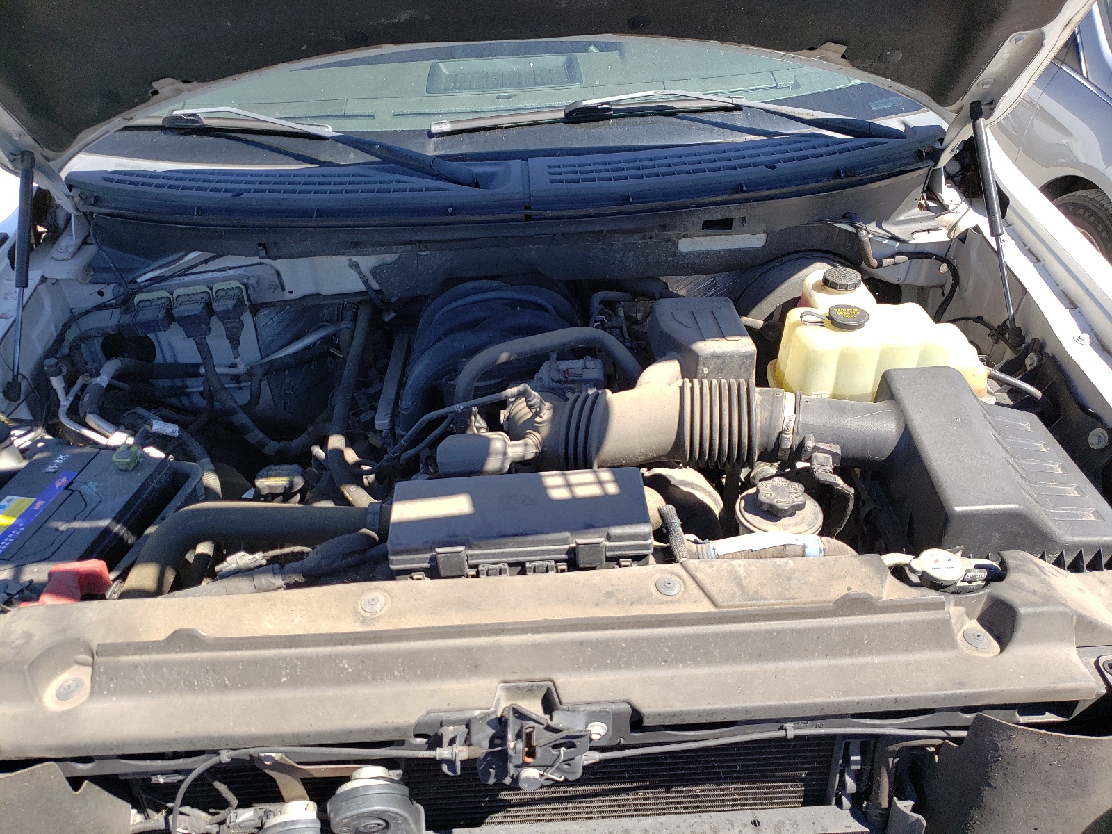 Photo 7 from auction – 2009 FORD F150 SUPER with VIN 1FTRW12889FA11627