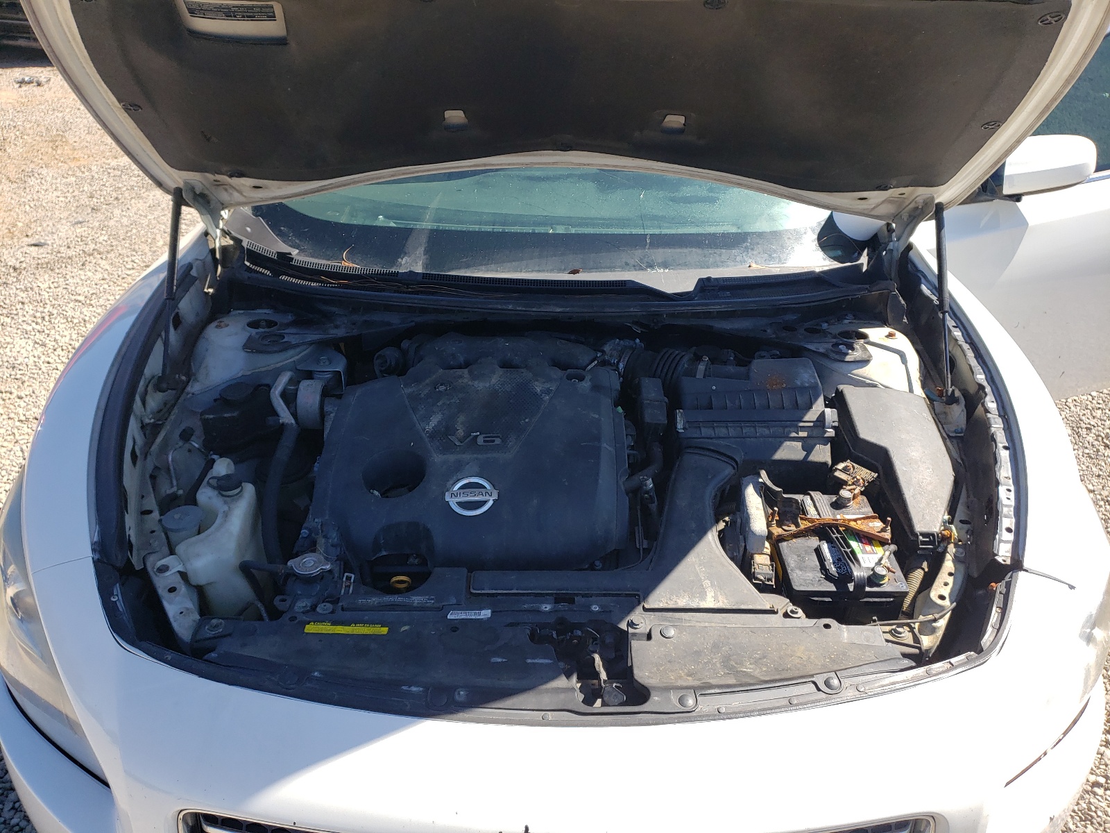 Photo 7 from auction – 2010 NISSAN MAXIMA S with VIN 1N4AA5APXAC872279