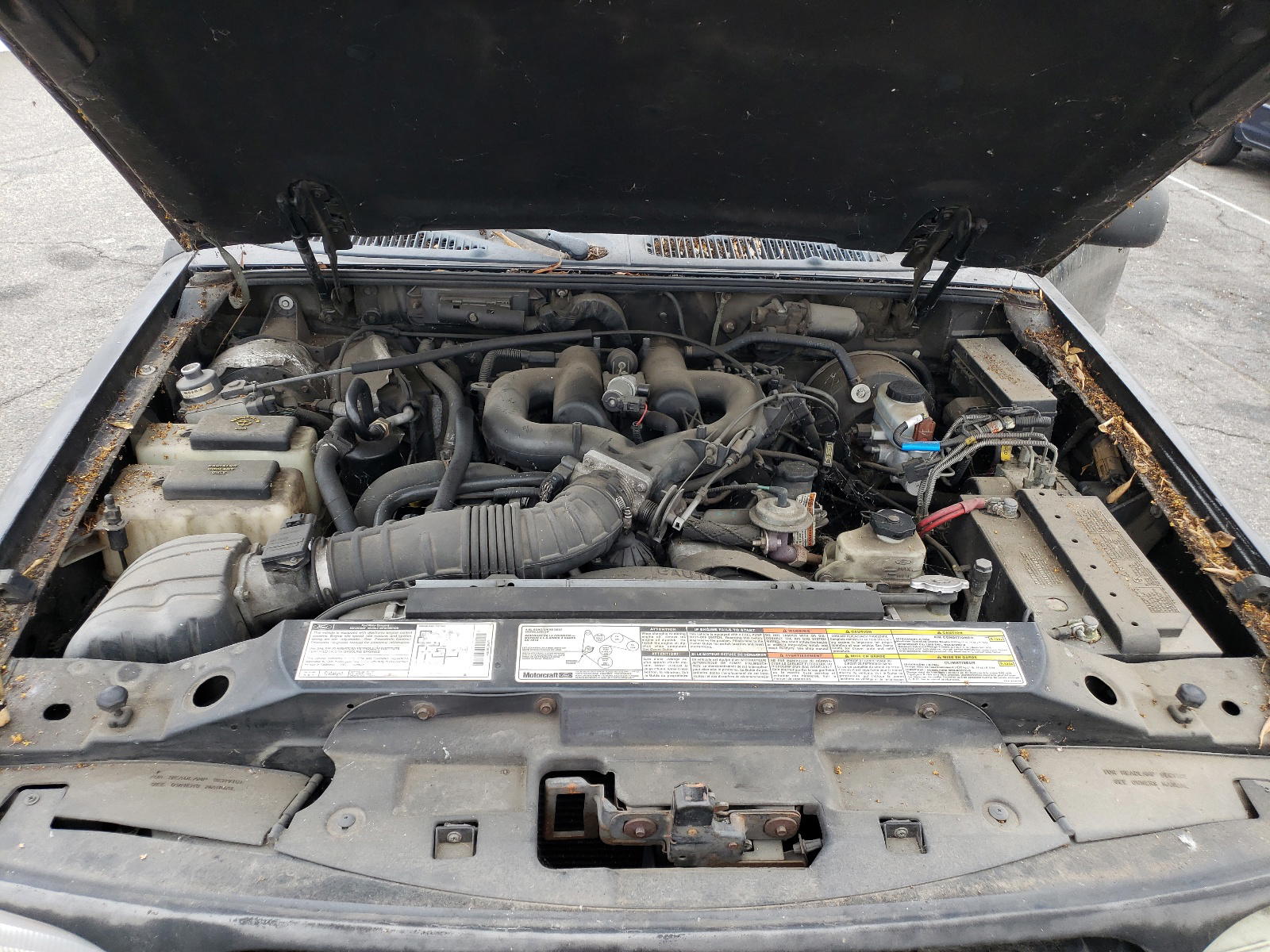 Photo 7 from auction – 1998 FORD EXPLORER with VIN 1FMYU22E0WUB88799
