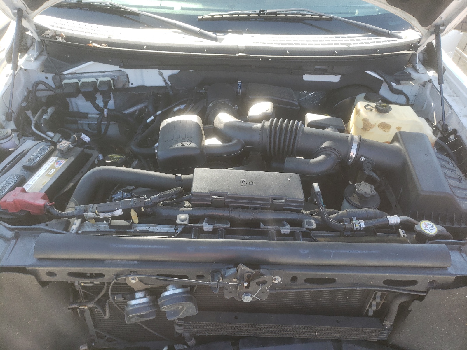 Photo 7 from auction – 2009 FORD F150 SUPER with VIN 1FTPW14V49FA52055