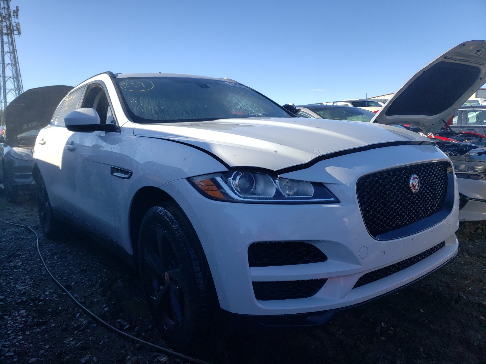 Photo 1 from auction – 2019 JAGUAR F-PACE PRE with VIN SADCJ2FX3KA361931