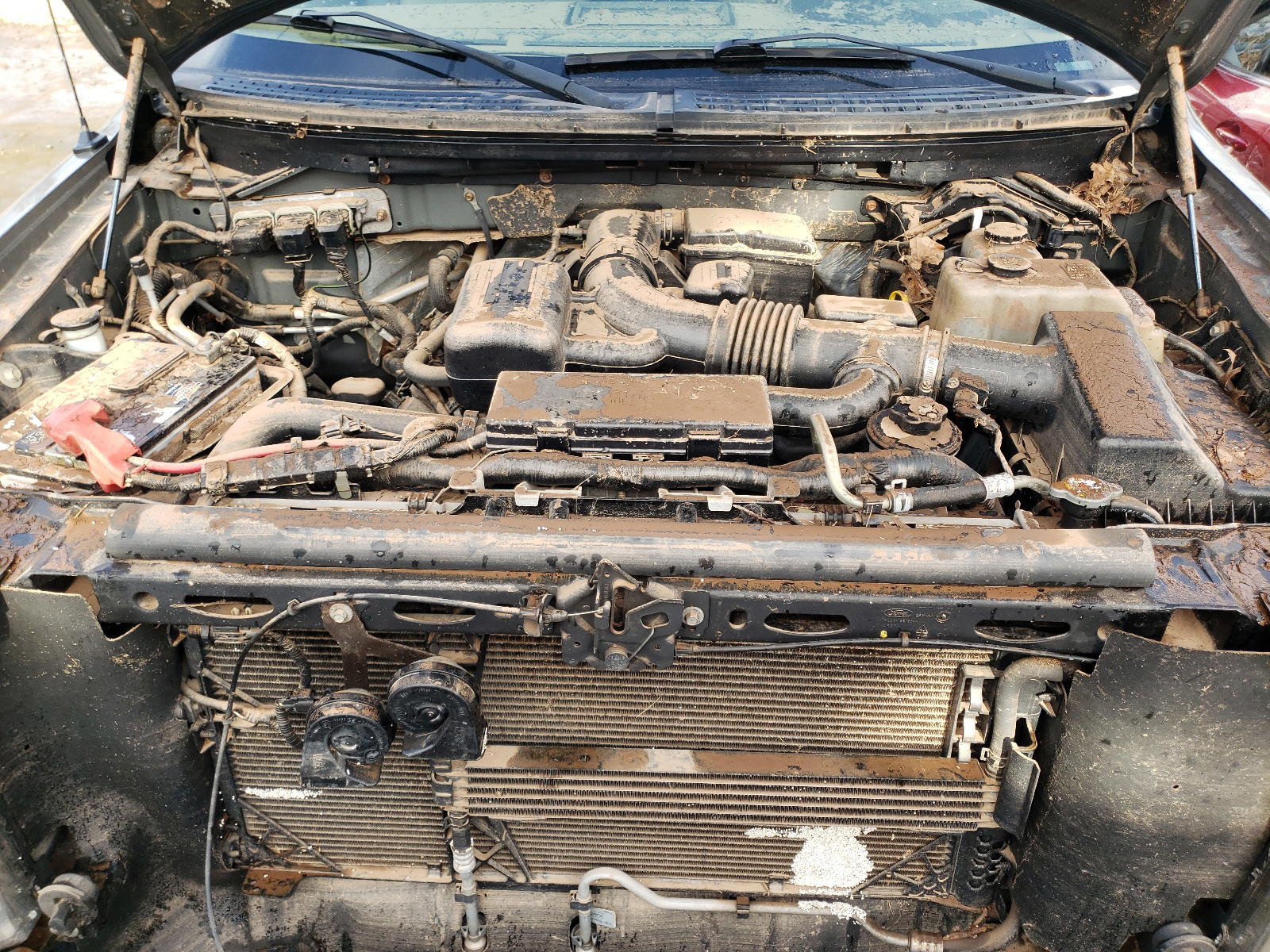 Photo 7 from auction – 2010 FORD F150 SUPER with VIN 1FTFW1EV2AFC33153