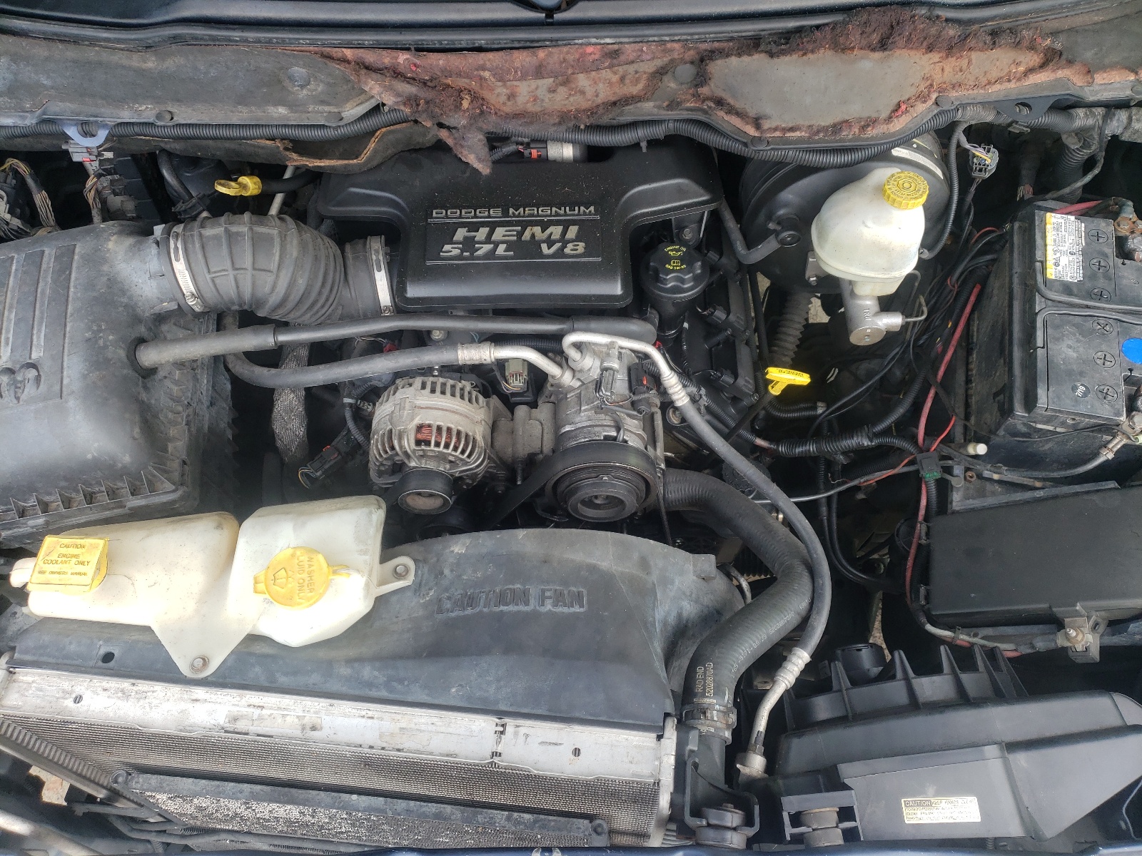 Photo 7 from auction – 2006 DODGE RAM 1500 S with VIN 1D7HU18266J102544