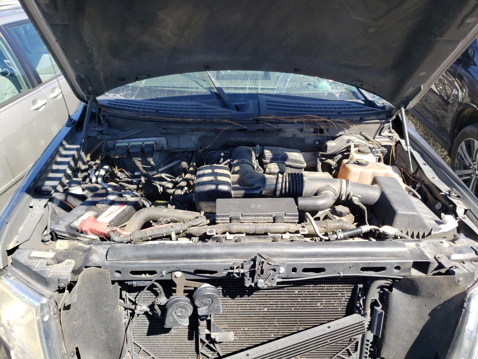 Photo 7 from auction – 2010 FORD F150 SUPER with VIN 1FTFW1EV3AFD62339