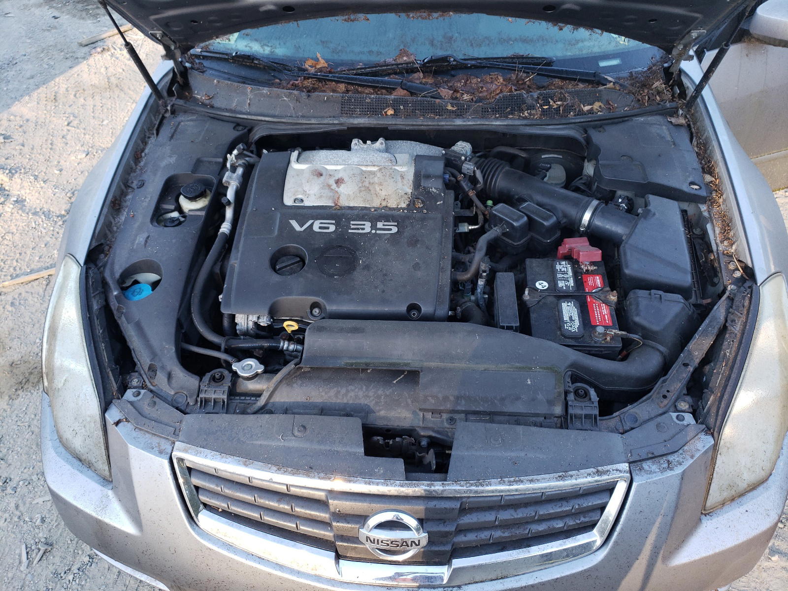 Photo 7 from auction – 2007 NISSAN MAXIMA SE with VIN 1N4BA41E47C853345