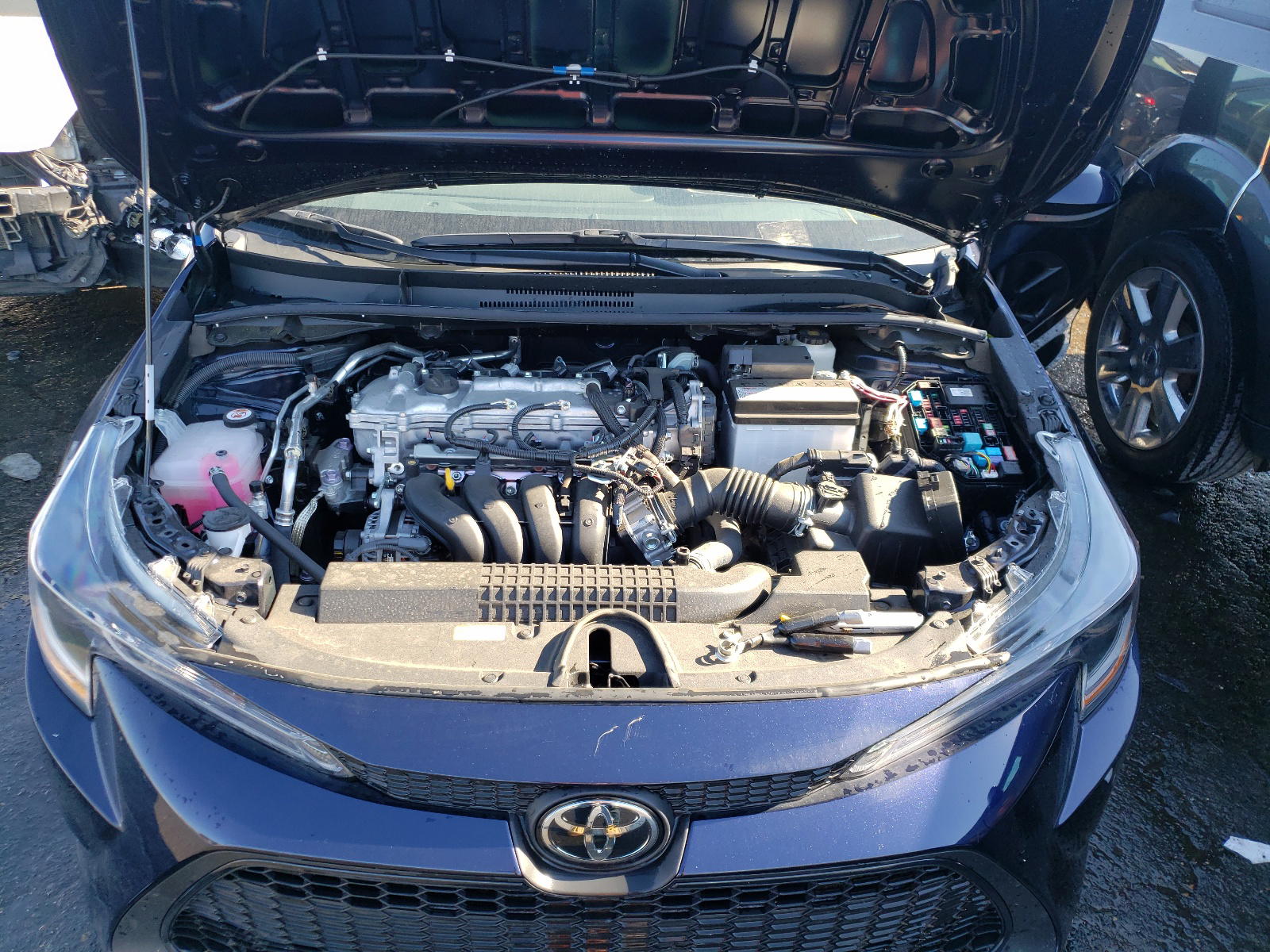 Photo 7 from auction – 2021 TOYOTA COROLLA LE with VIN 5YFEPMAE9MP226505