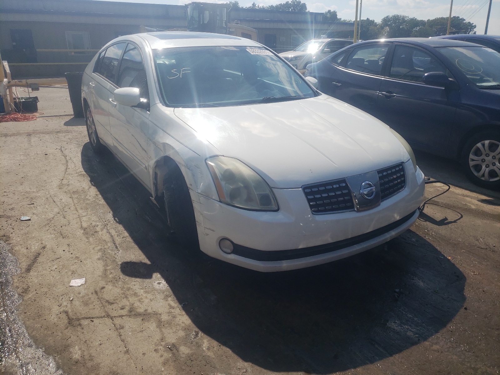 NISSAN MAXIMA SE 2006 with VIN 1N4BA41E76C850888 - Photo from auction