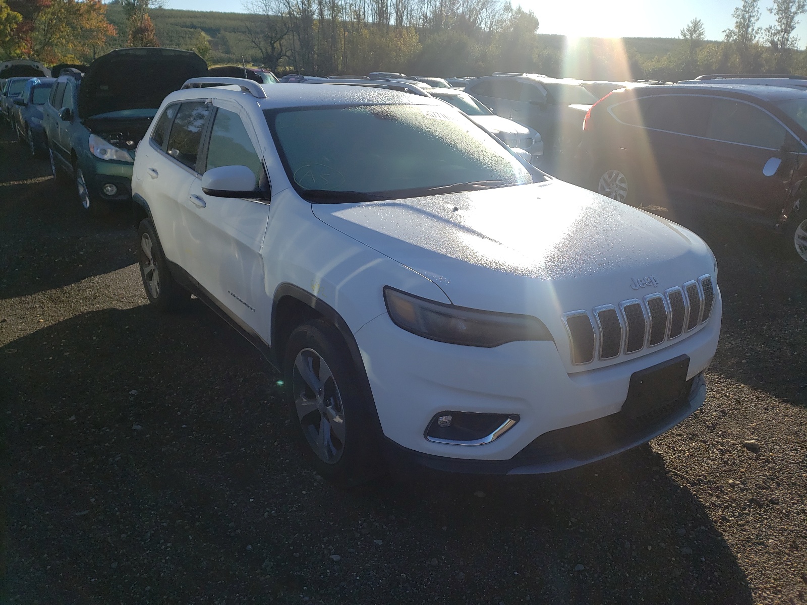 JEEP CHEROKEE L 2019 with VIN 1C4PJMDN7KD254261 - Photo from auction