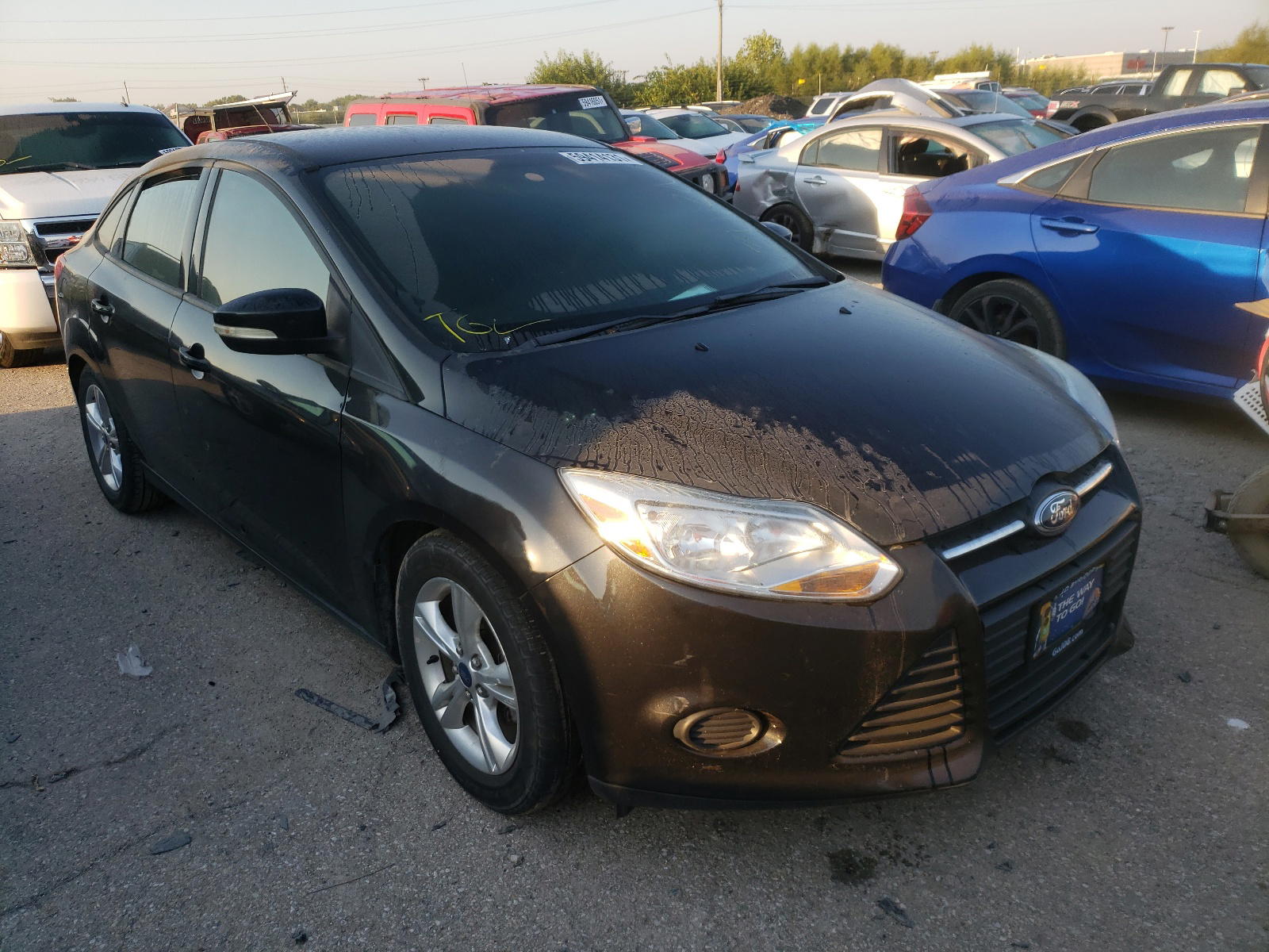 FORD FOCUS SE 2014 with VIN 1FADP3F27EL249513 - Photo from auction