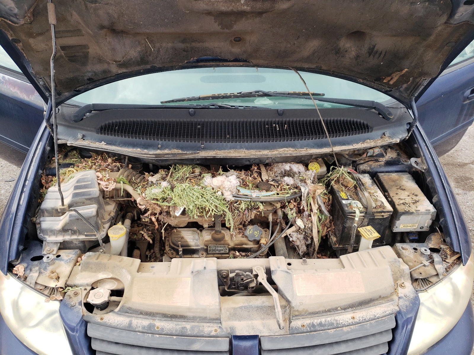Photo 7 from auction – 2005 DODGE CARAVAN with VIN 2D4GP44L45R158654