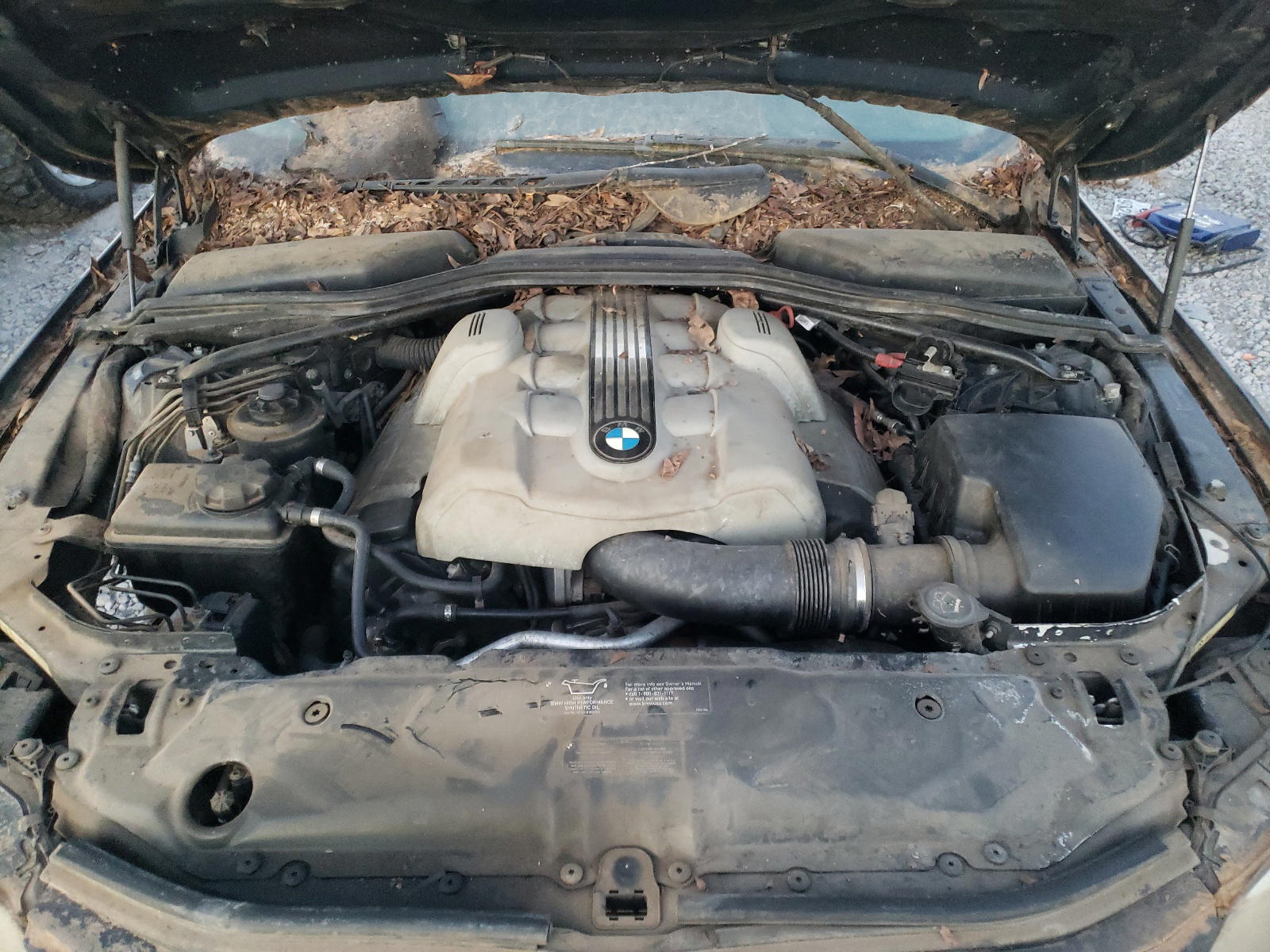 Photo 7 from auction – 2004 BMW 545 I with VIN WBANB33504B111096