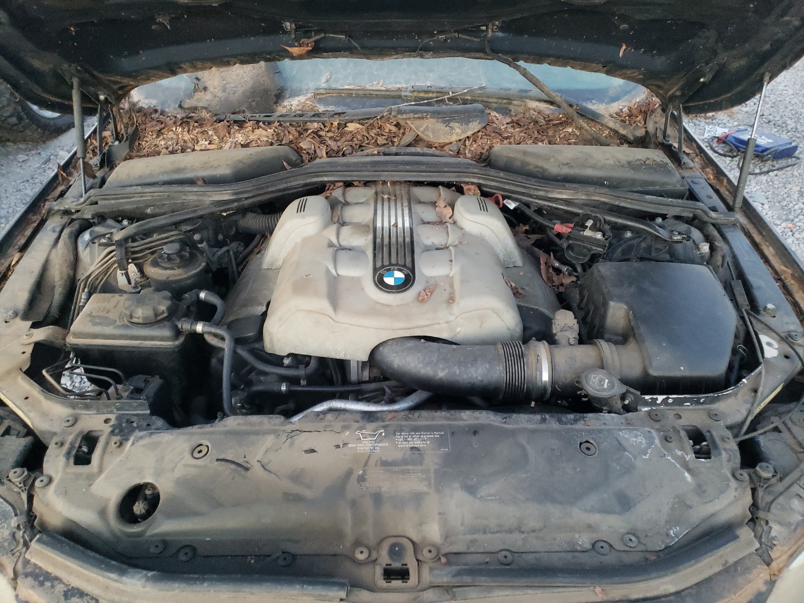 Фото 7 с аукциона – 2004 BMW 545 I с VIN WBANB33504B111096