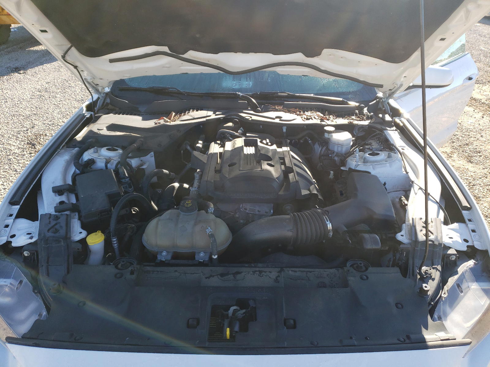Photo 7 from auction – 2018 FORD MUSTANG with VIN 1FA6P8TH7J5161977
