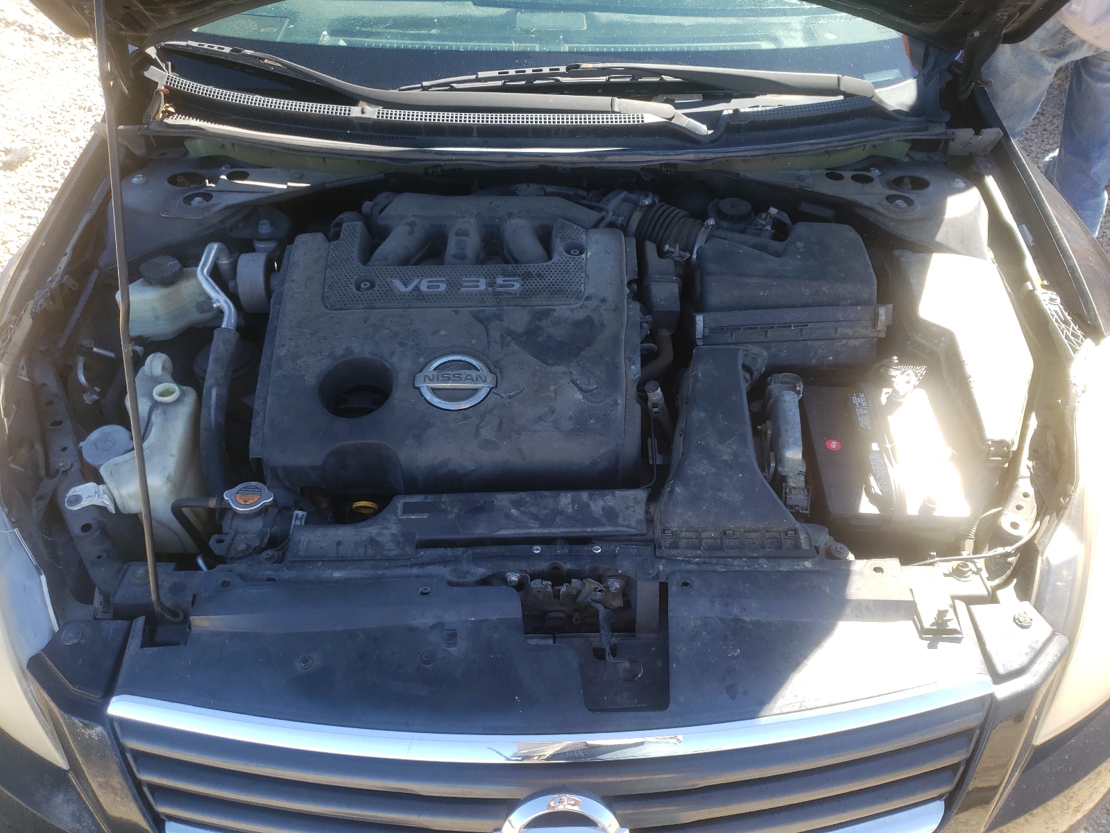 Photo 7 from auction – 2008 NISSAN ALTIMA 3.5 with VIN 1N4BL21E48N490114