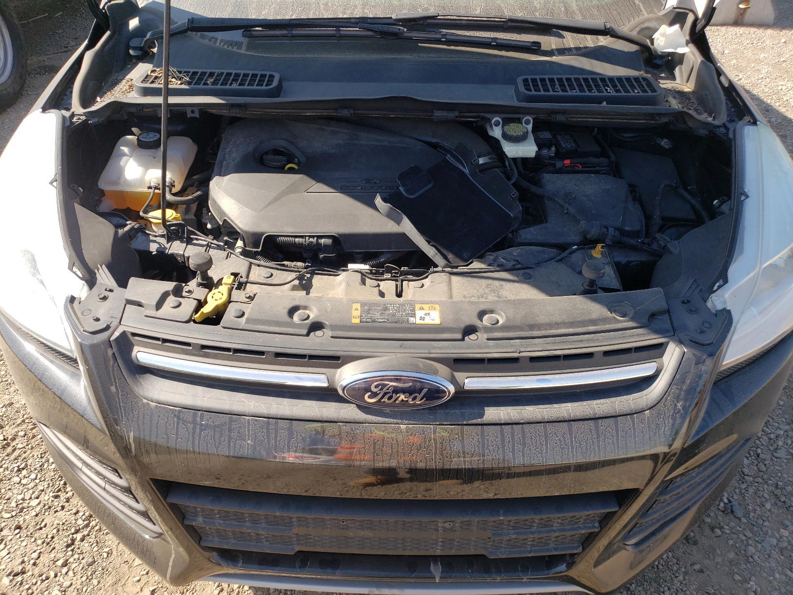 Photo 7 from auction – 2014 FORD ESCAPE SE with VIN 1FMCU0GX9EUC53589