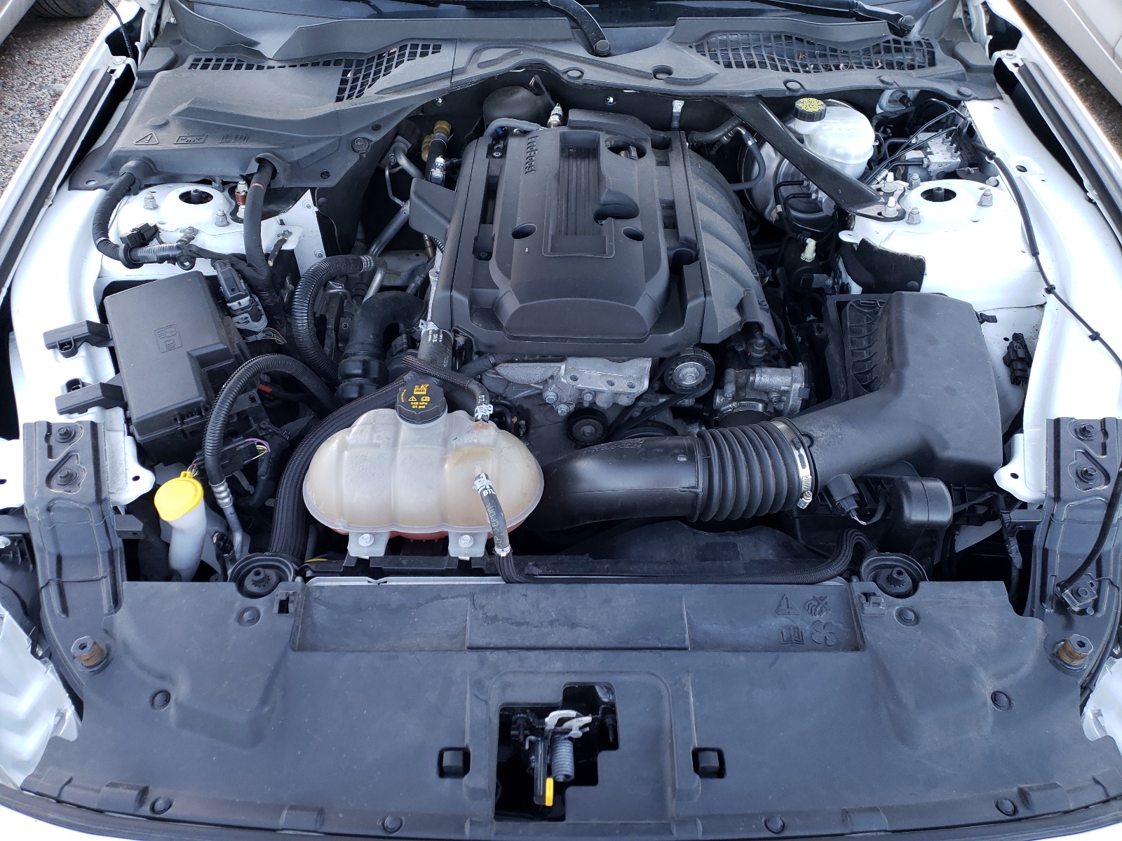 Photo 7 from auction – 2018 FORD MUSTANG with VIN 1FATP8UH0J5132659