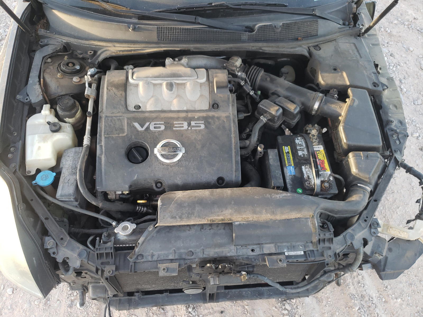 Photo 7 from auction – 2004 NISSAN MAXIMA SE with VIN 1N4BA41E14C886802