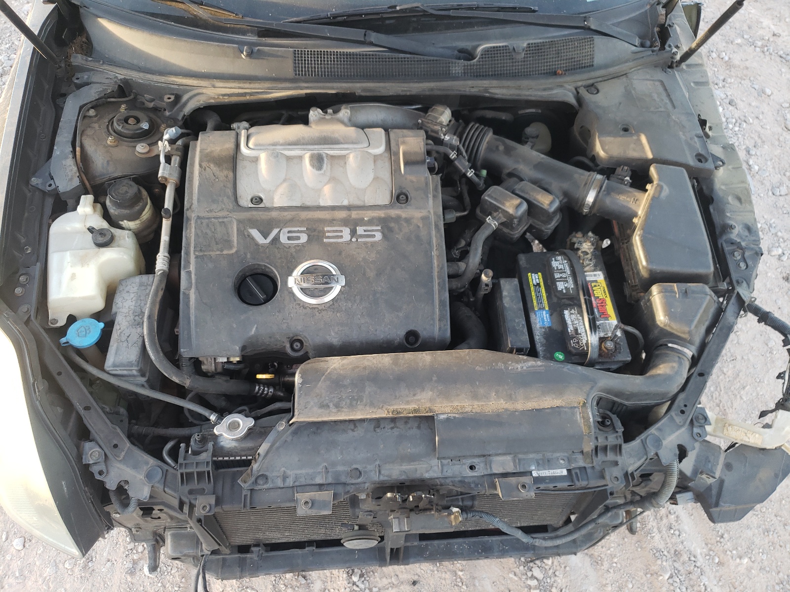 Zdjęcie 7 z aukcji – 2004 NISSAN MAXIMA SE z VIN 1N4BA41E14C886802