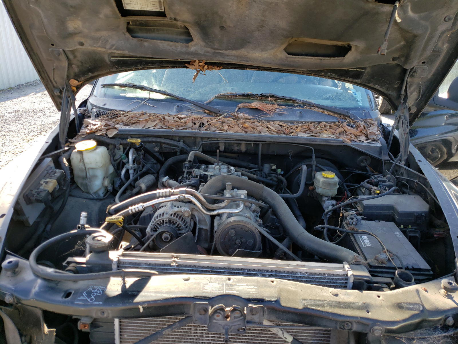 Photo 7 from auction – 1999 DODGE DURANGO with VIN 1B4HS28YXXF635508