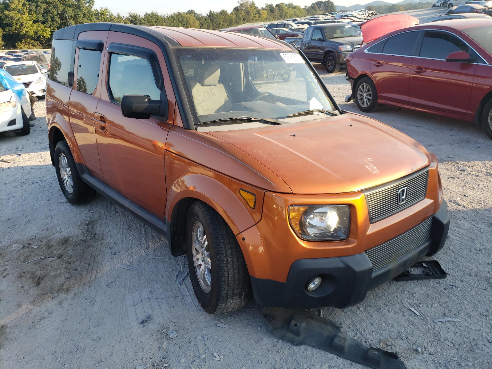 HONDA ELEMENT EX 2008 with VIN 5J6YH27798L016048 - Photo from auction