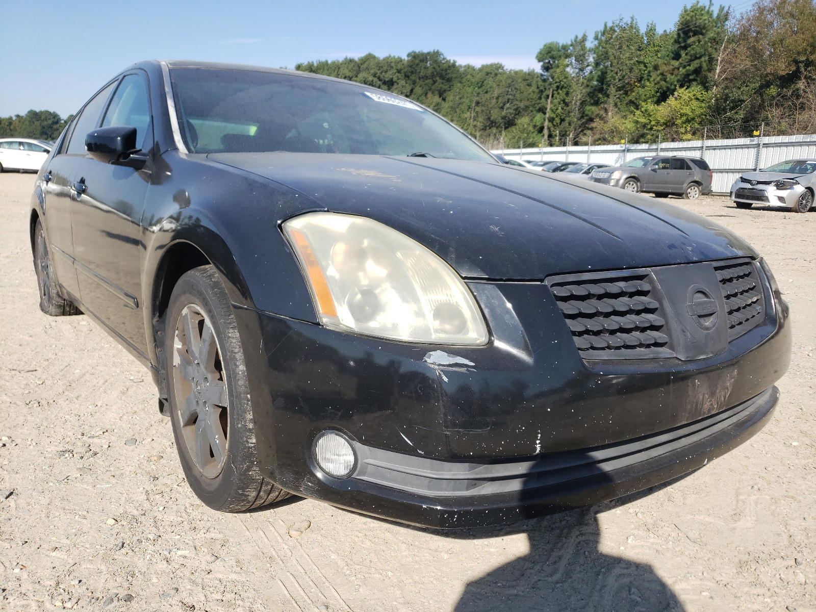 NISSAN MAXIMA 2006 with VIN 1N4BA41E36C800764 - Photo from auction
