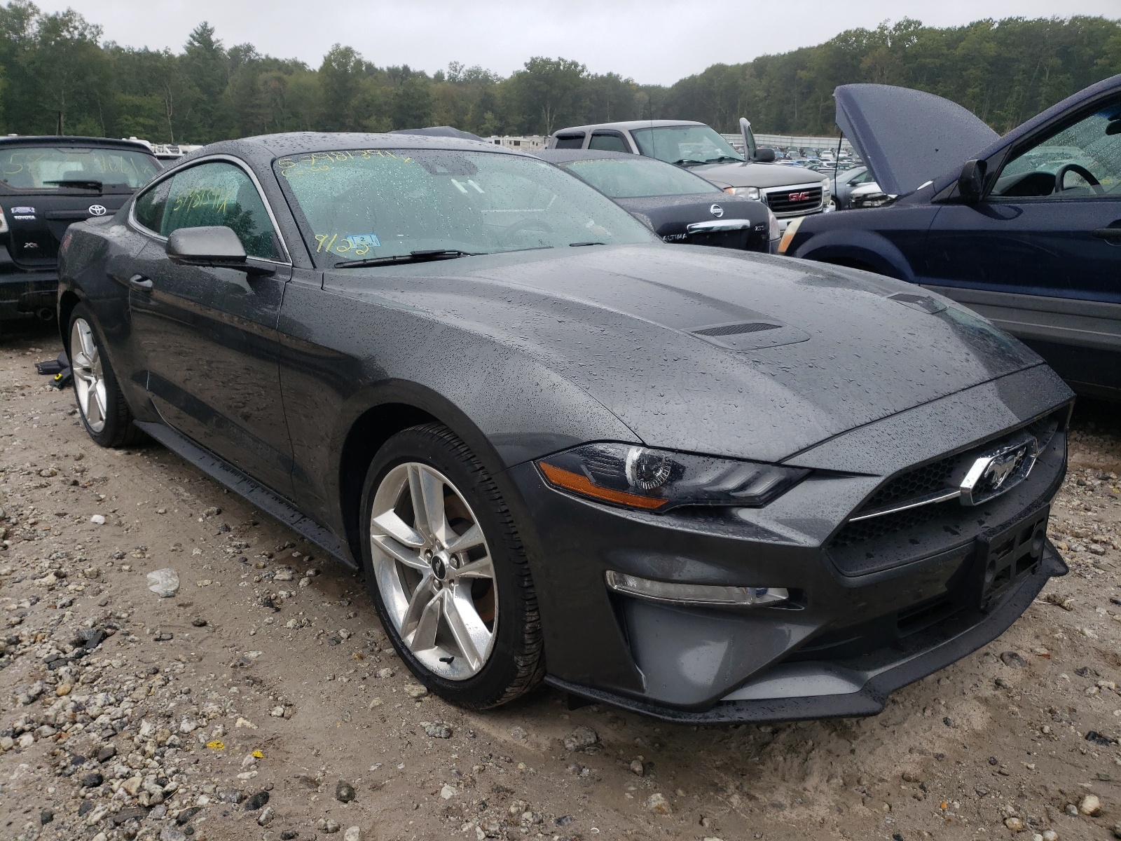 FORD MUSTANG 2019 with VIN 1FA6P8TH8K5124020 - Photo from auction