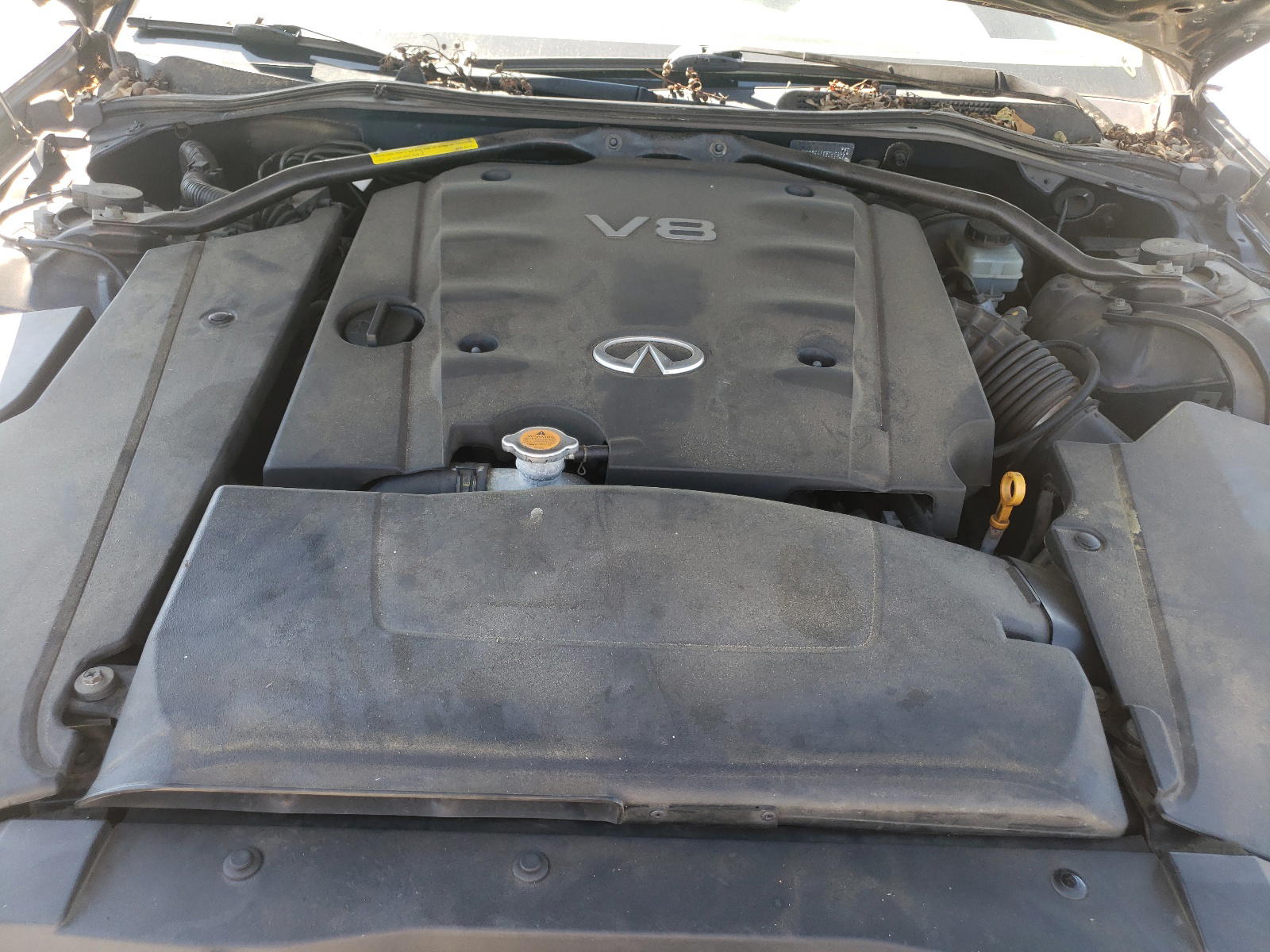 Photo 7 from auction – 2005 INFINITI Q45 with VIN JNKBF01A85M101669