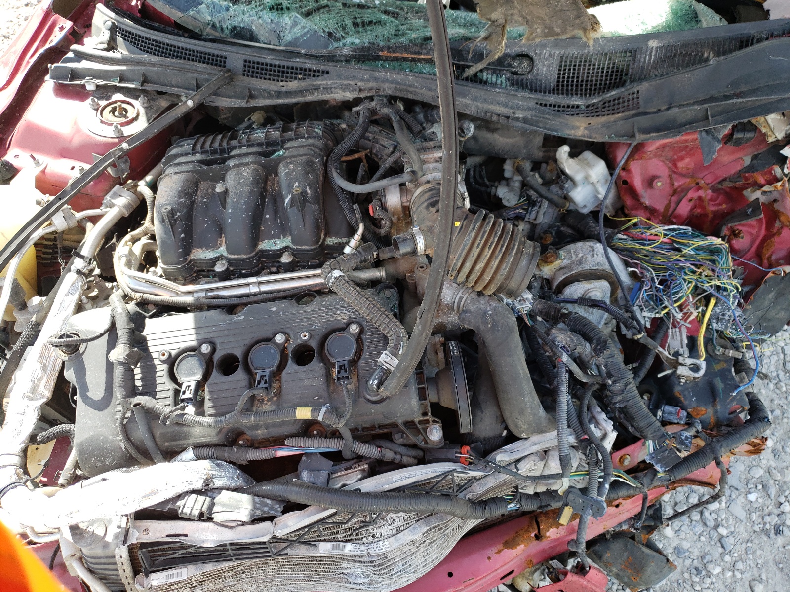 Photo 7 from auction – 2012 FORD FUSION SEL with VIN 3FAHP0JG3CR443893