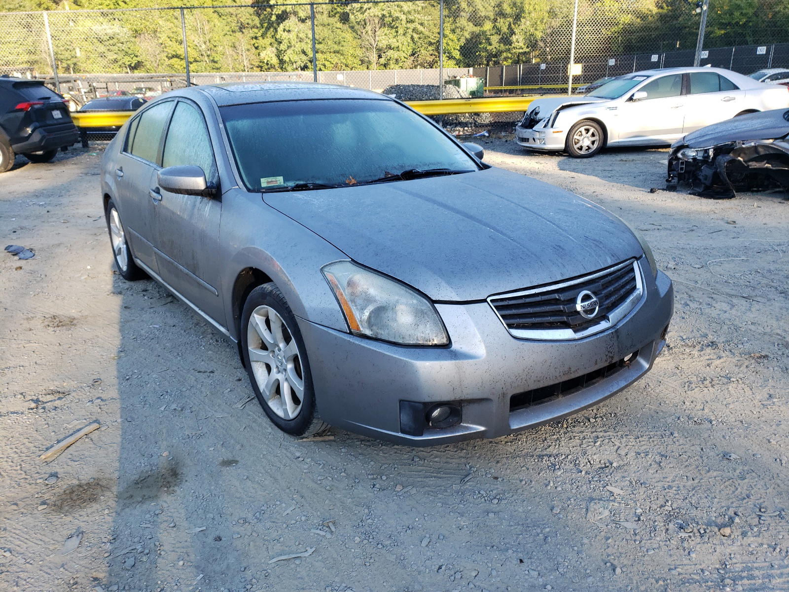 NISSAN MAXIMA SE 2007 with VIN 1N4BA41E47C853345 - Photo from auction