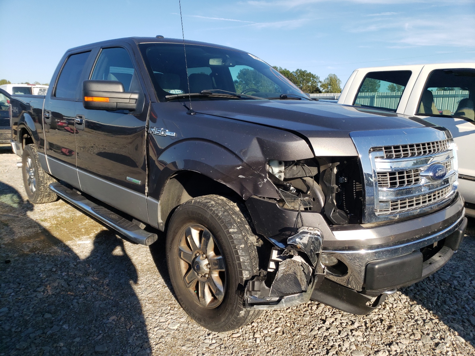 FORD F150 SUPER 2013 with VIN 1FTFW1ET5DKE01569 - Photo from auction