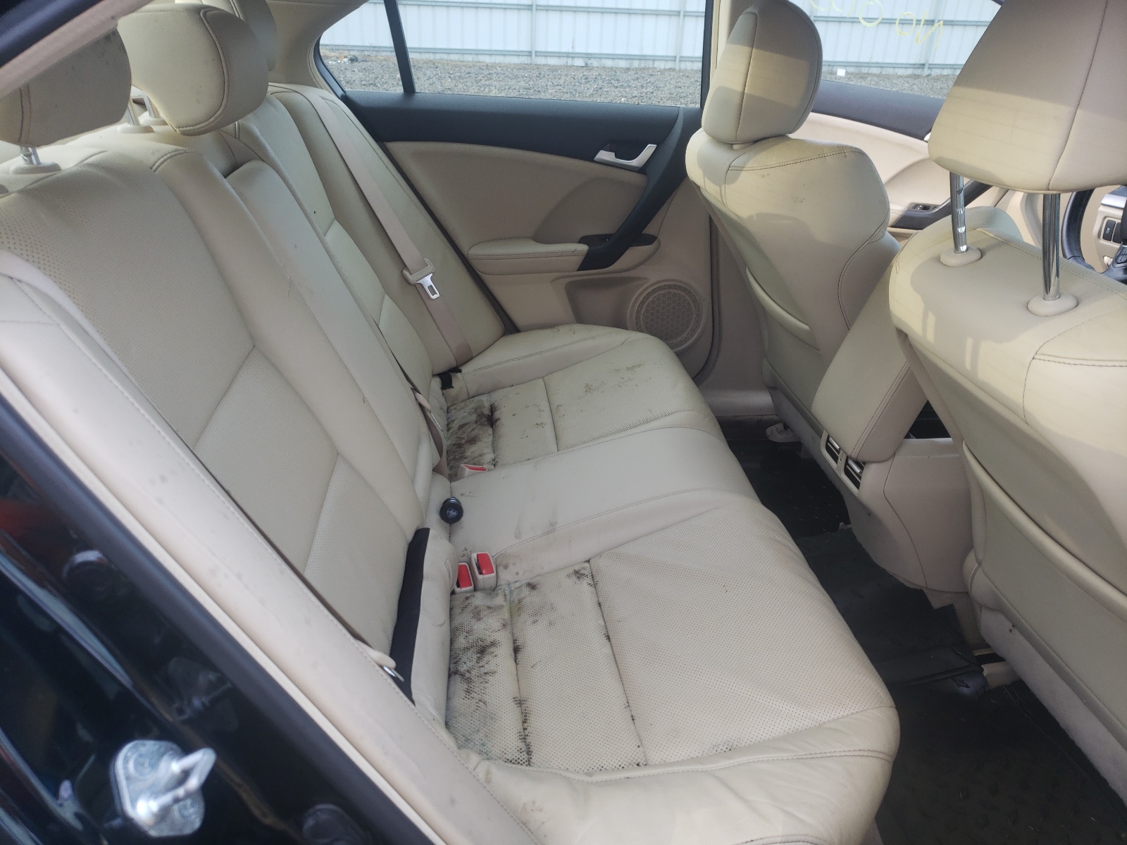 Photo 6 from auction – 2013 ACURA TSX TECH with VIN JH4CU2F62DC001243