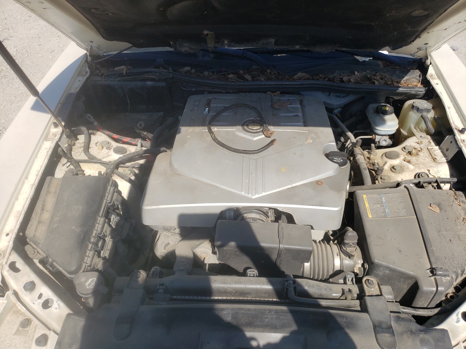Photo 7 from auction – 2006 CADILLAC CTS HI FEA with VIN 1G6DP577X60100826