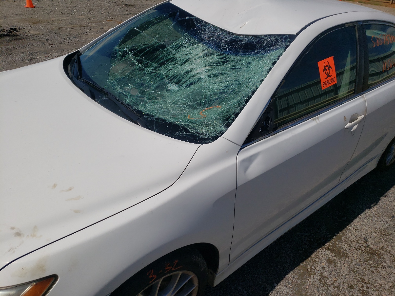 Photo 9 from auction – 2009 TOYOTA CAMRY BASE with VIN 4T1BE46K69U869729