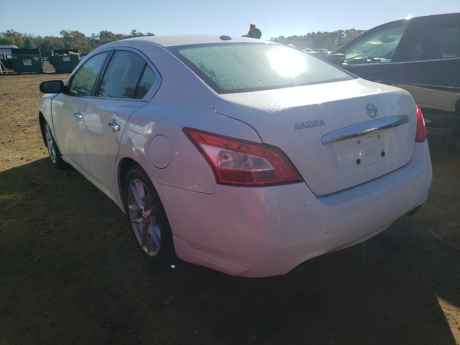 Photo 3 from auction – 2010 NISSAN MAXIMA S with VIN 1N4AA5APXAC833143