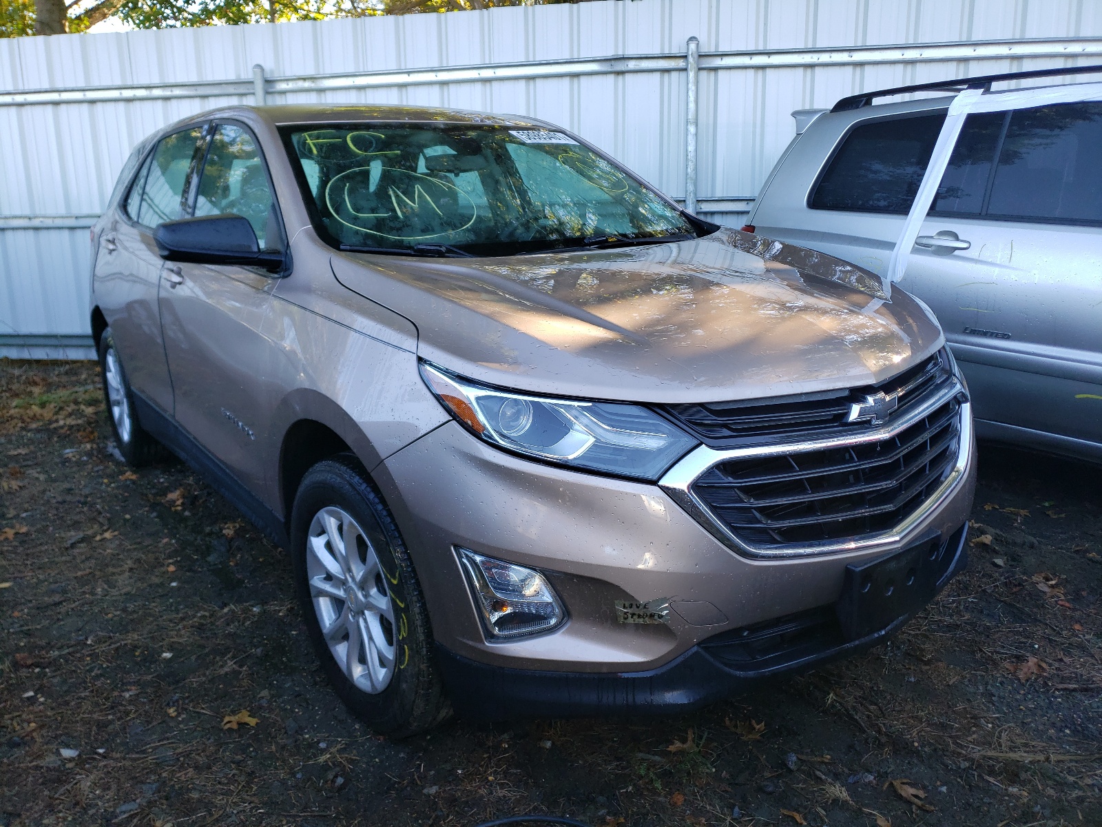 Photo 1 from auction – 2019 CHEVROLET EQUINOX LS with VIN 2GNAXSEV9K6170598