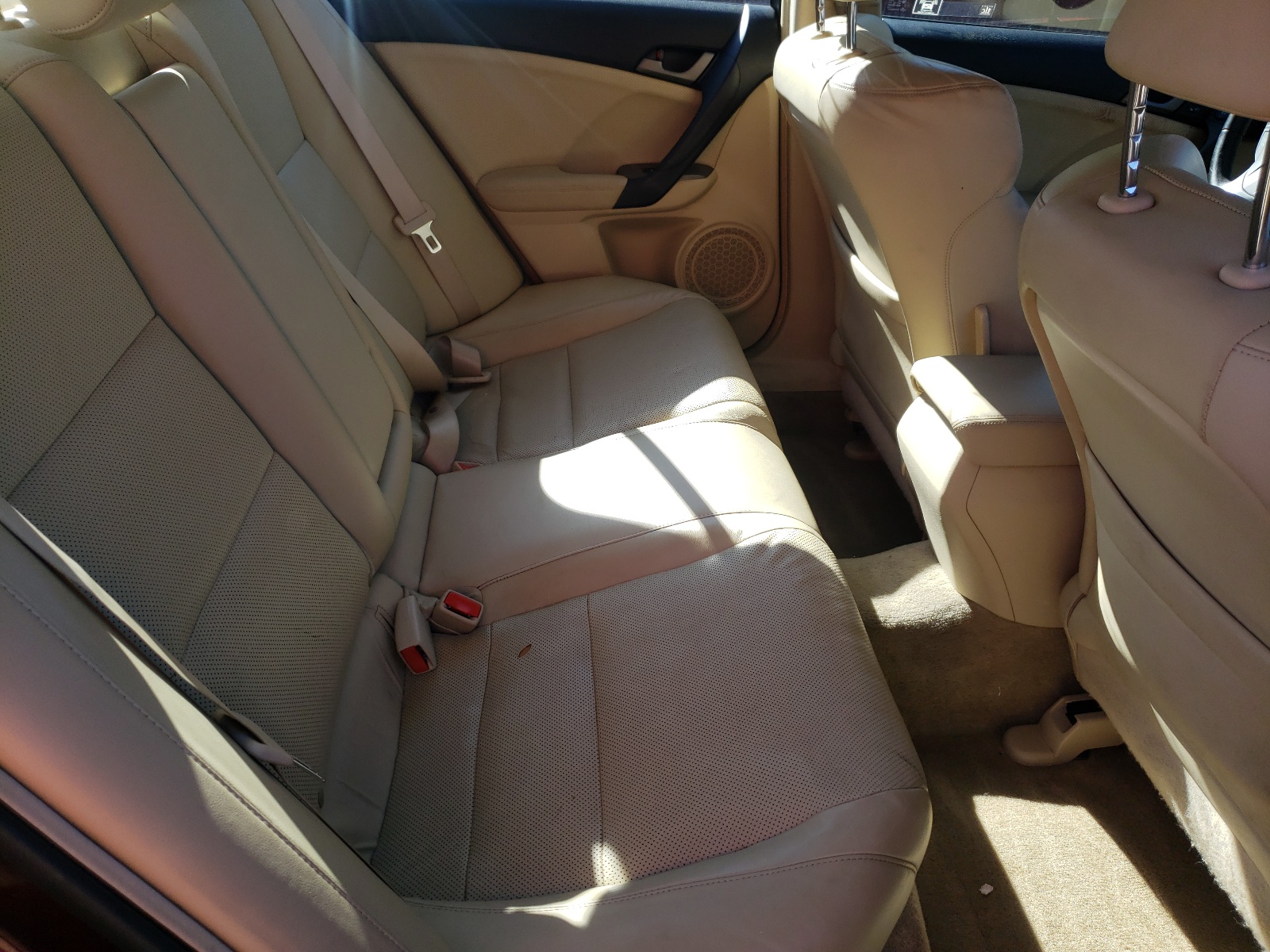 Photo 6 from auction – 2010 ACURA TSX with VIN JH4CU2F6XAC002572