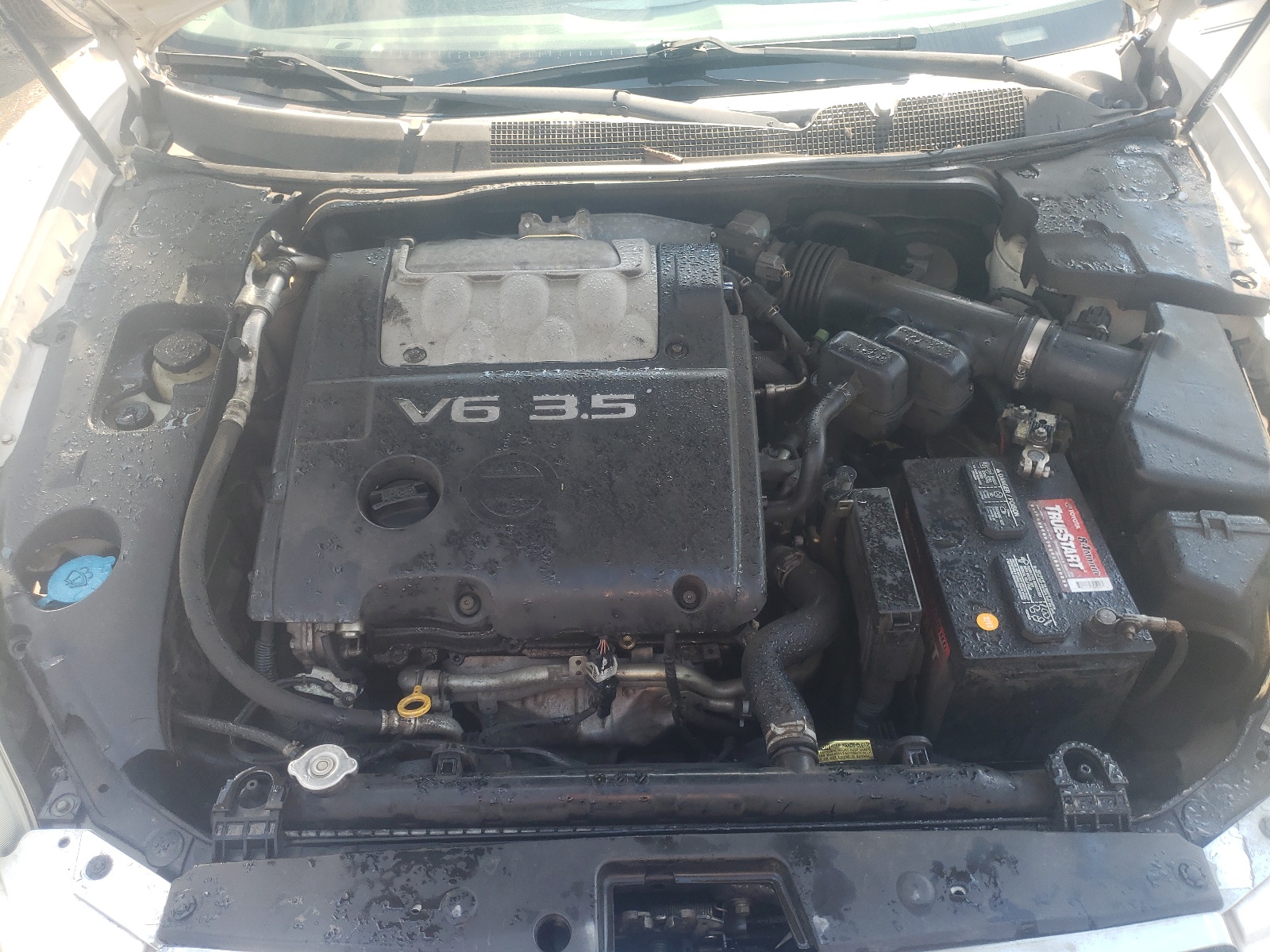 Photo 7 from auction – 2006 NISSAN MAXIMA SE with VIN 1N4BA41E76C850888