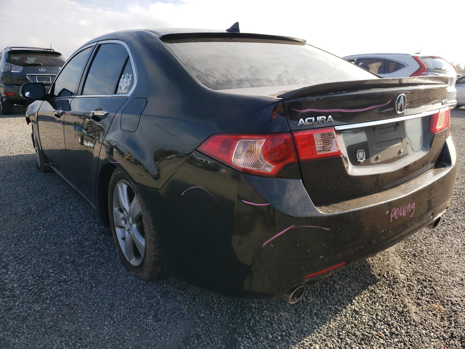 Photo 3 from auction – 2011 ACURA TSX with VIN JH4CU2F61BC007533