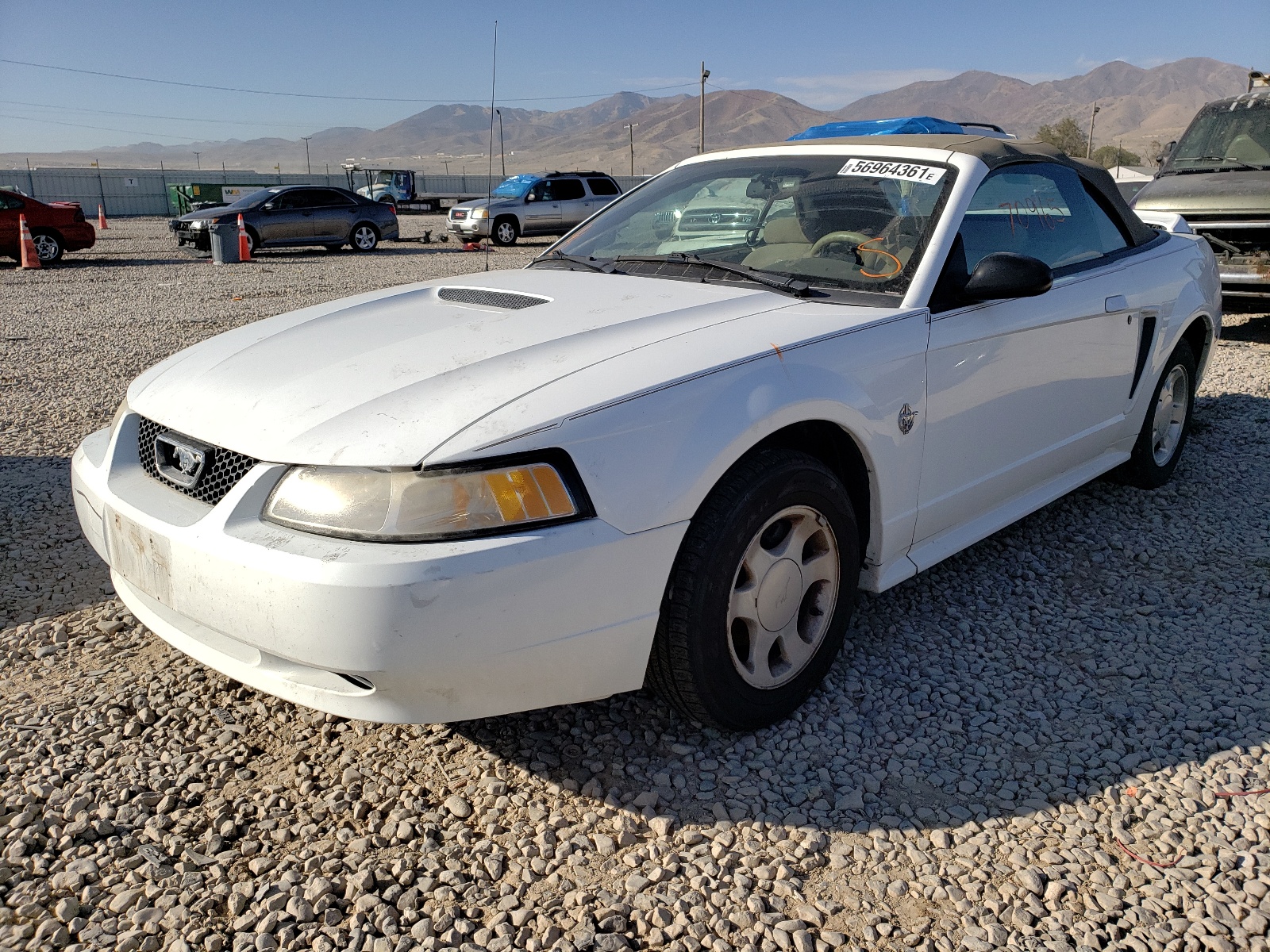 Photo 2 from auction – 1999 FORD MUSTANG with VIN 1FAFP4442XF140767