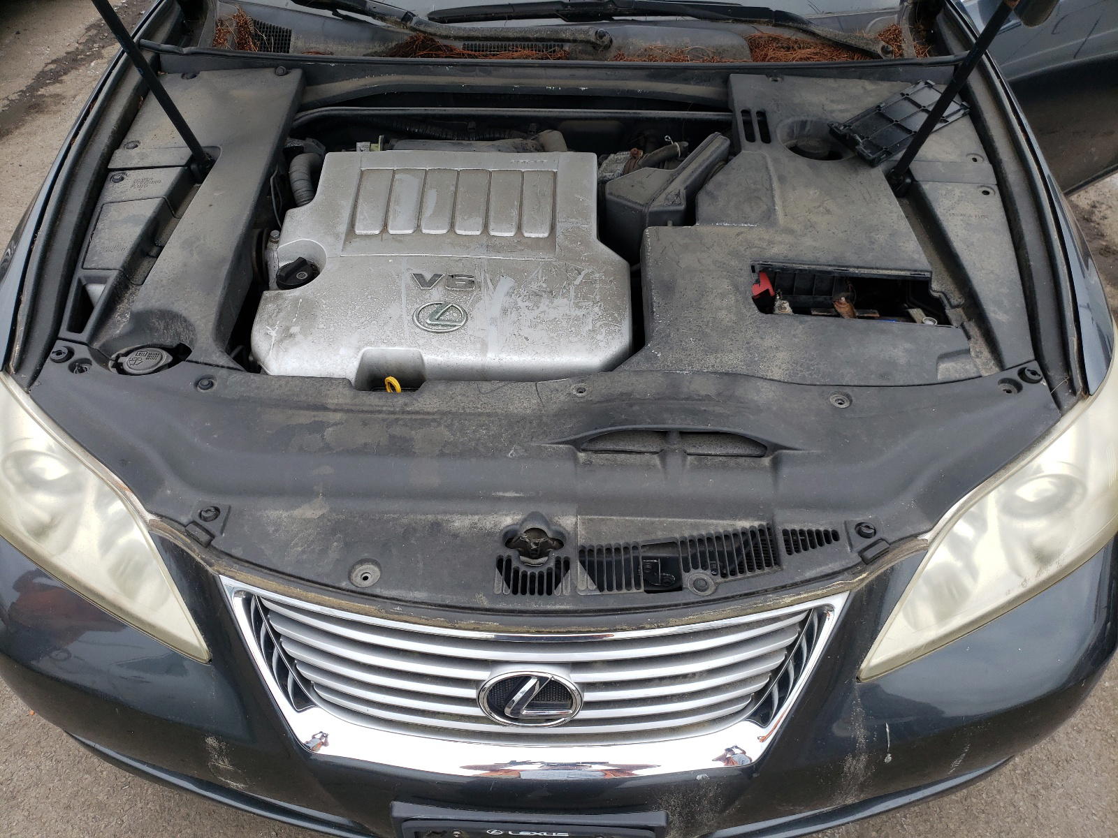 Photo 7 from auction – 2009 LEXUS ES 350 with VIN JTHBJ46G692302555