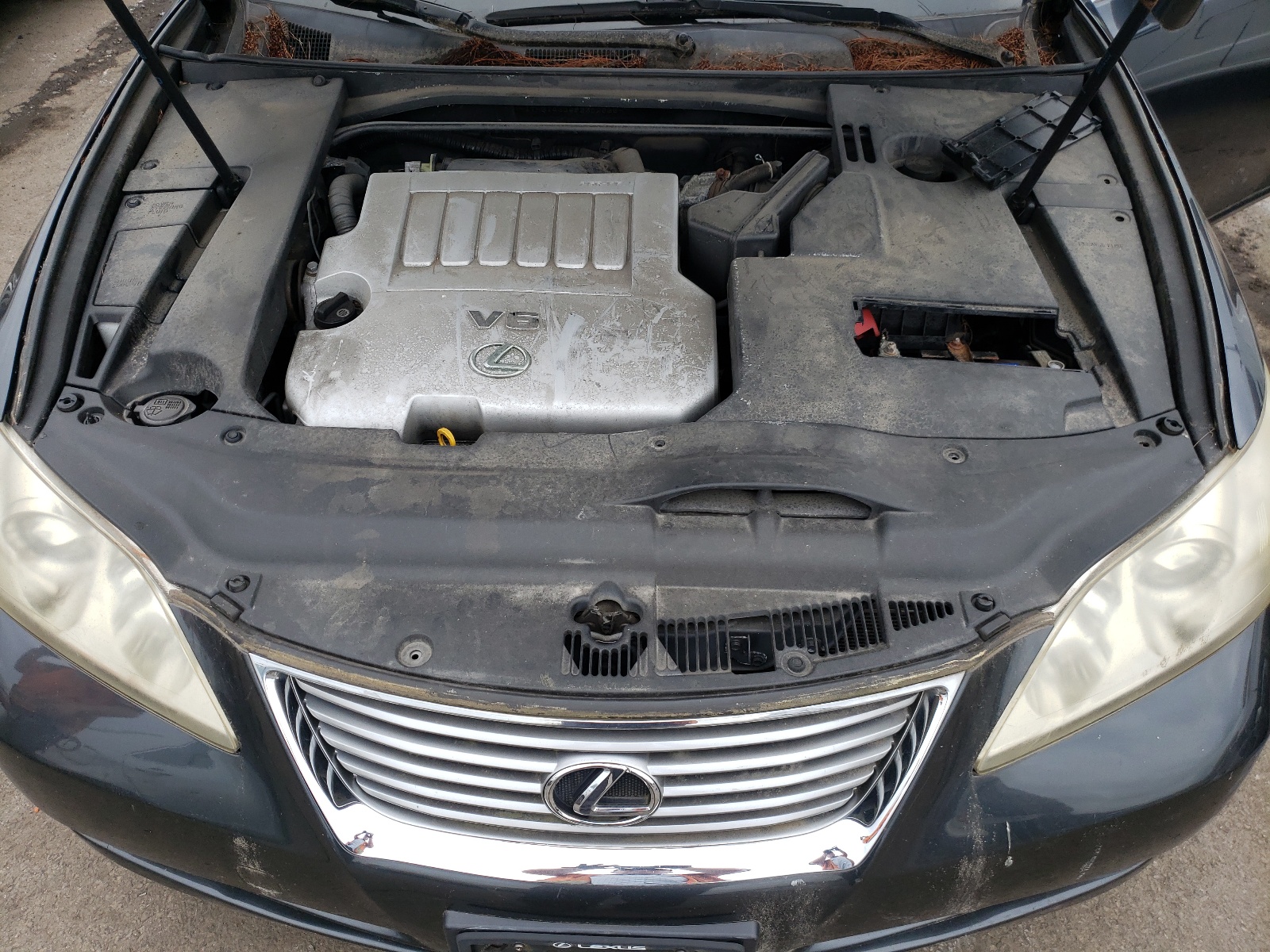 Zdjęcie 7 z aukcji – 2009 LEXUS ES 350 z VIN JTHBJ46G692302555